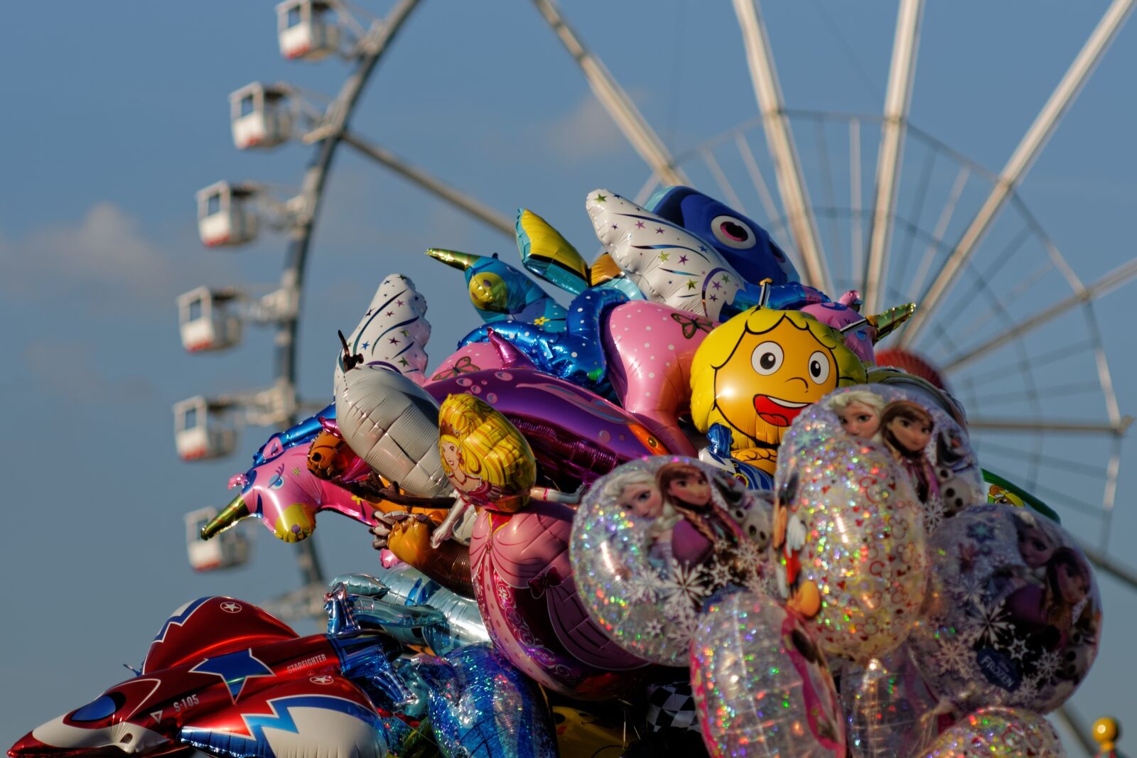 Nikon D300S sample photo. Bremen, year market, folk photography