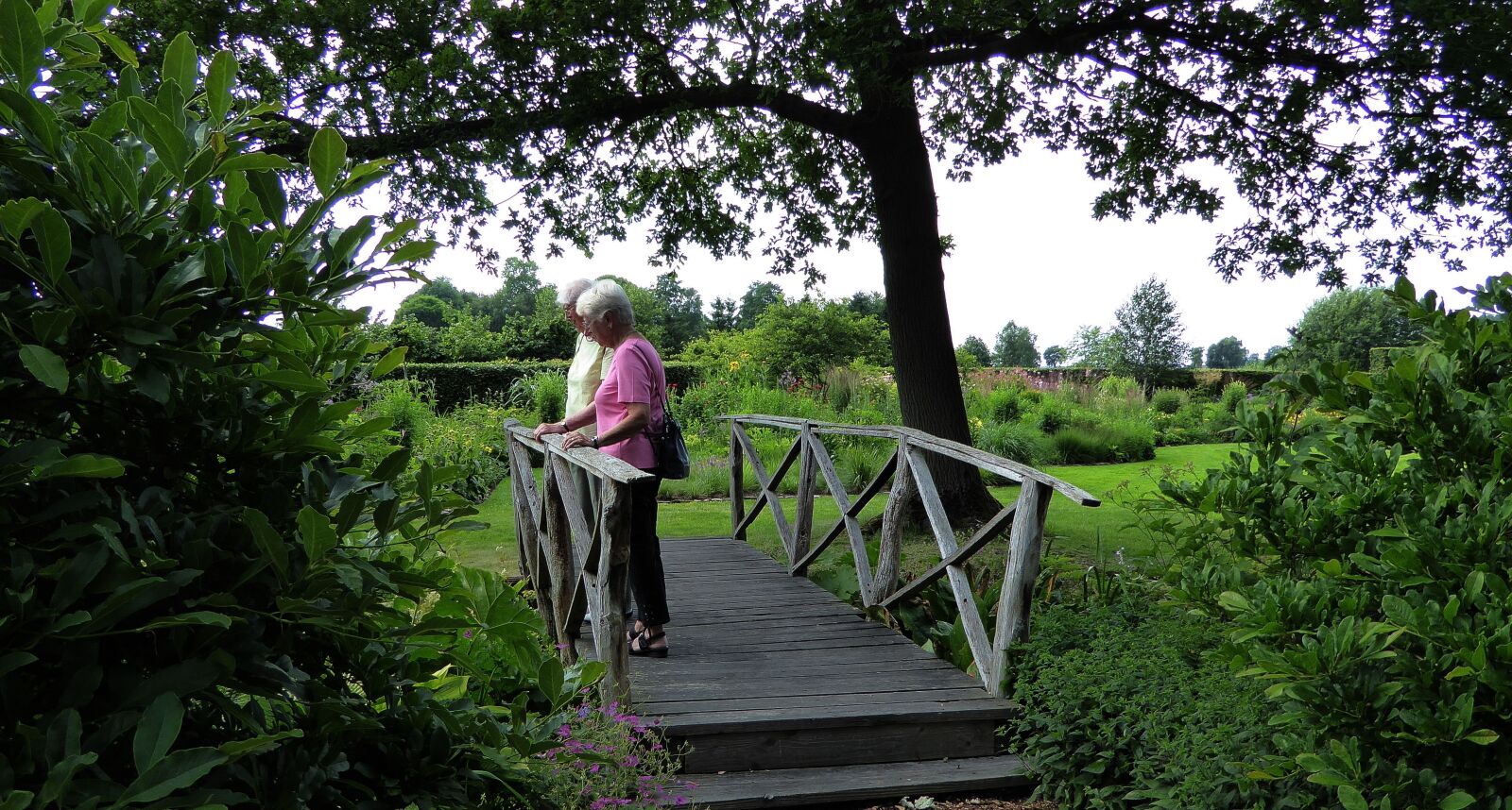 Panasonic DMC-TZ61 sample photo. Wooden bridge, web, nature photography