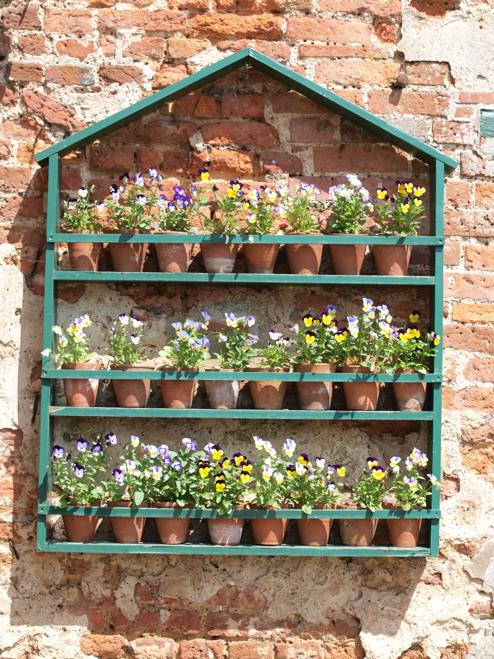 Olympus E-520 (EVOLT E-520) sample photo. Flowers, garden, shelves photography