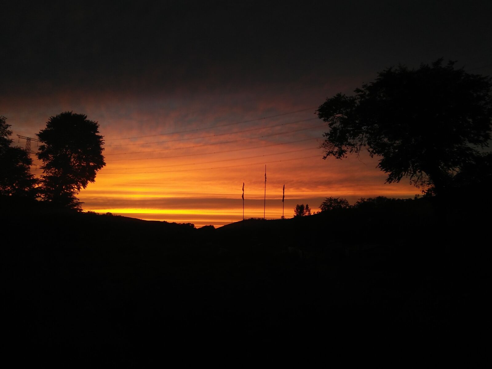 OPPO A51 sample photo. Tree, sunset, sky photography