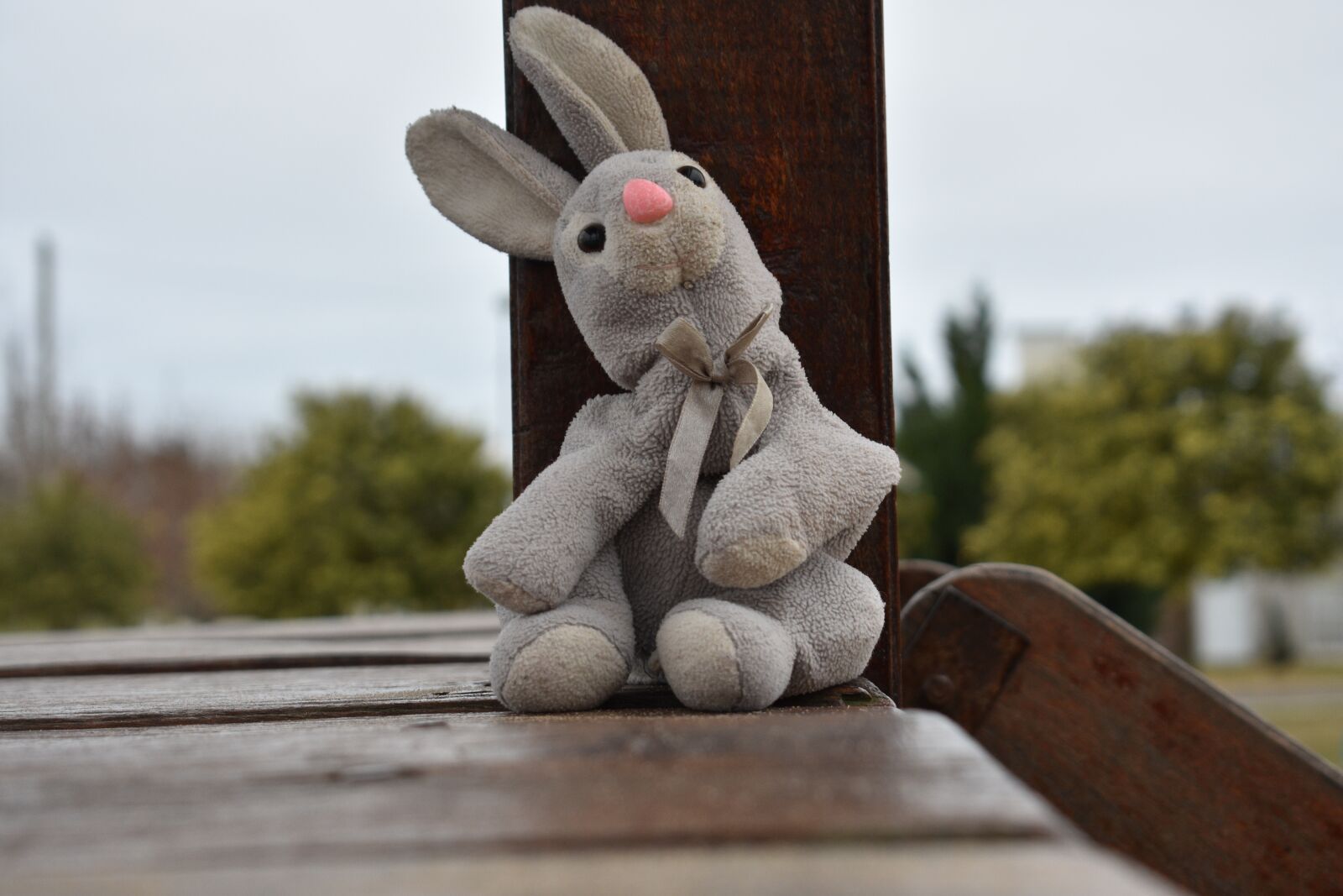 Nikon D3400 sample photo. Teddy, plaza, toy photography