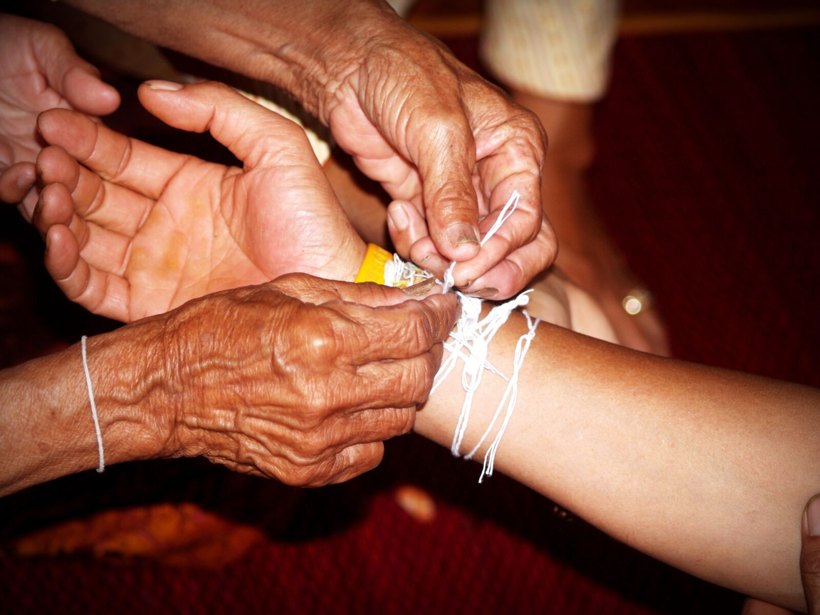 Olympus E-300 (EVOLT E-300) sample photo. Hand, hold, care photography