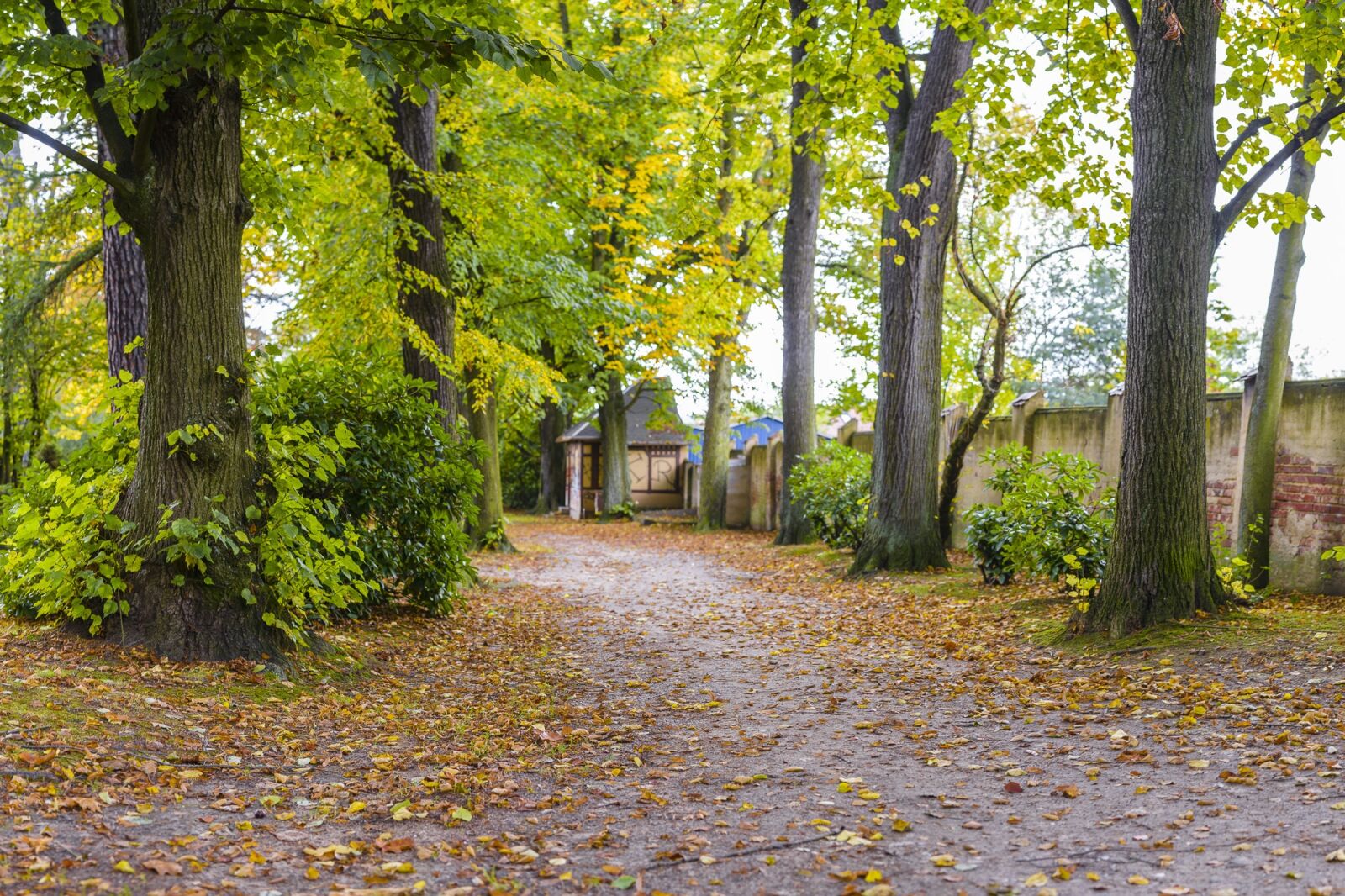 Nikon D800 sample photo. Autumn, seasons, nature photography