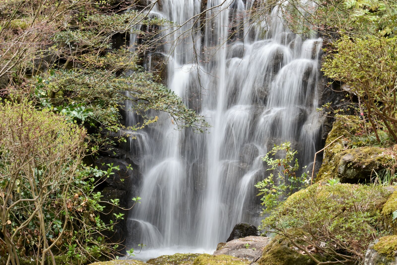 Nikon D7200 sample photo. Natural, landscape, wood photography