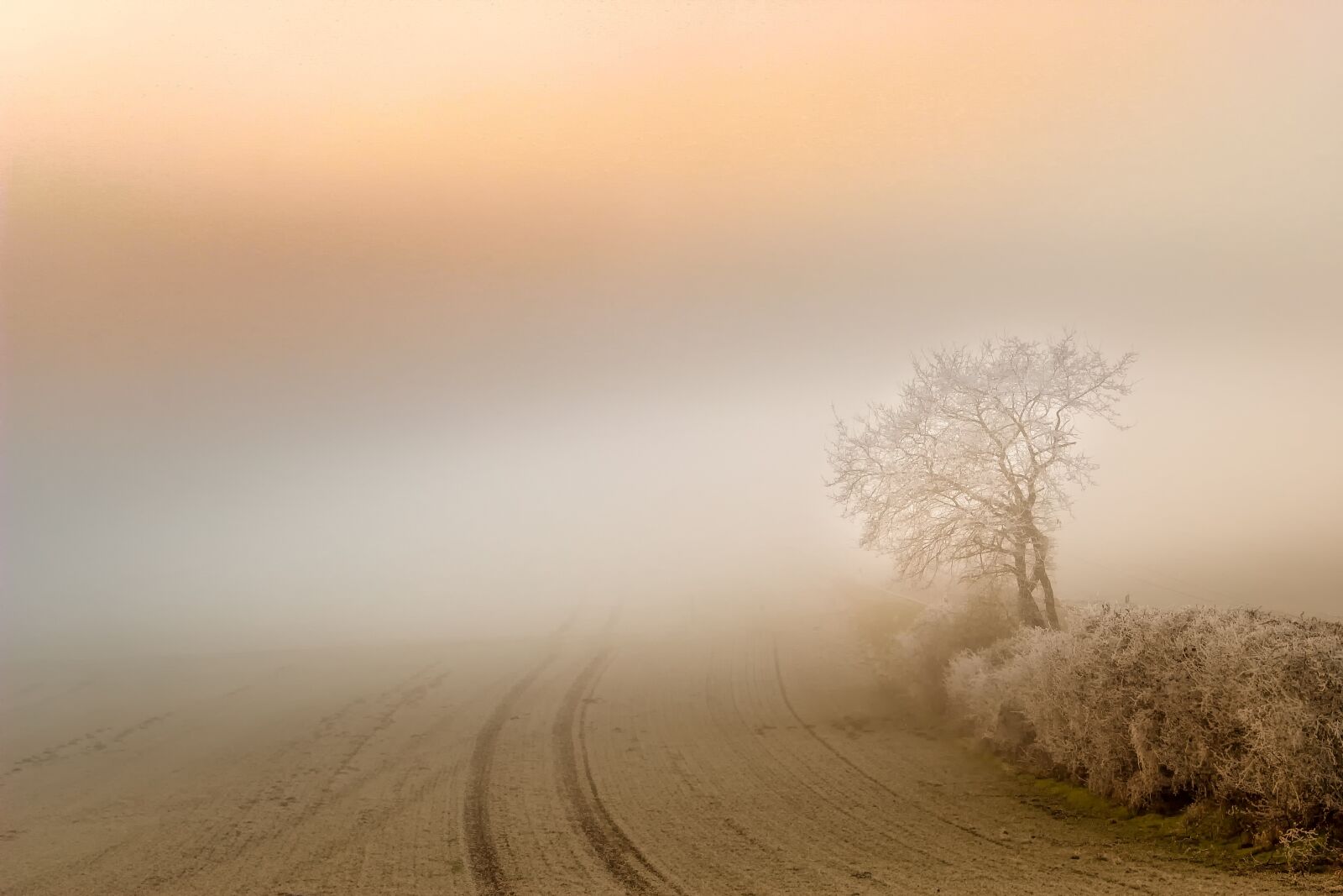 Canon EOS 60D sample photo. Fog, dawn, landscape photography
