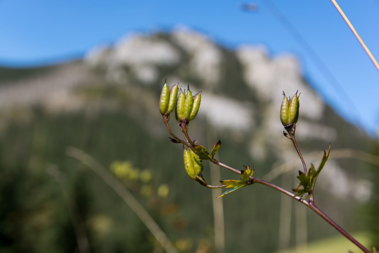 Nikon D7100 sample photo. Tatry, ko cieliska valley photography