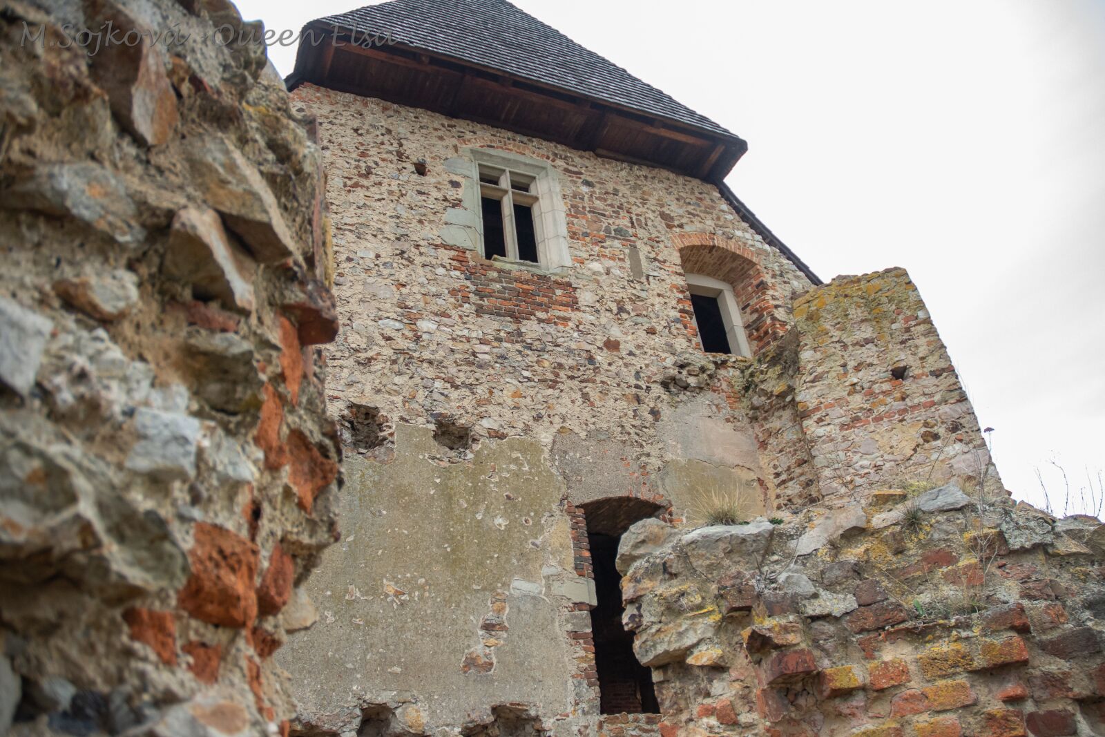 Nikon D7200 sample photo. Tocnik, castle, ruins photography