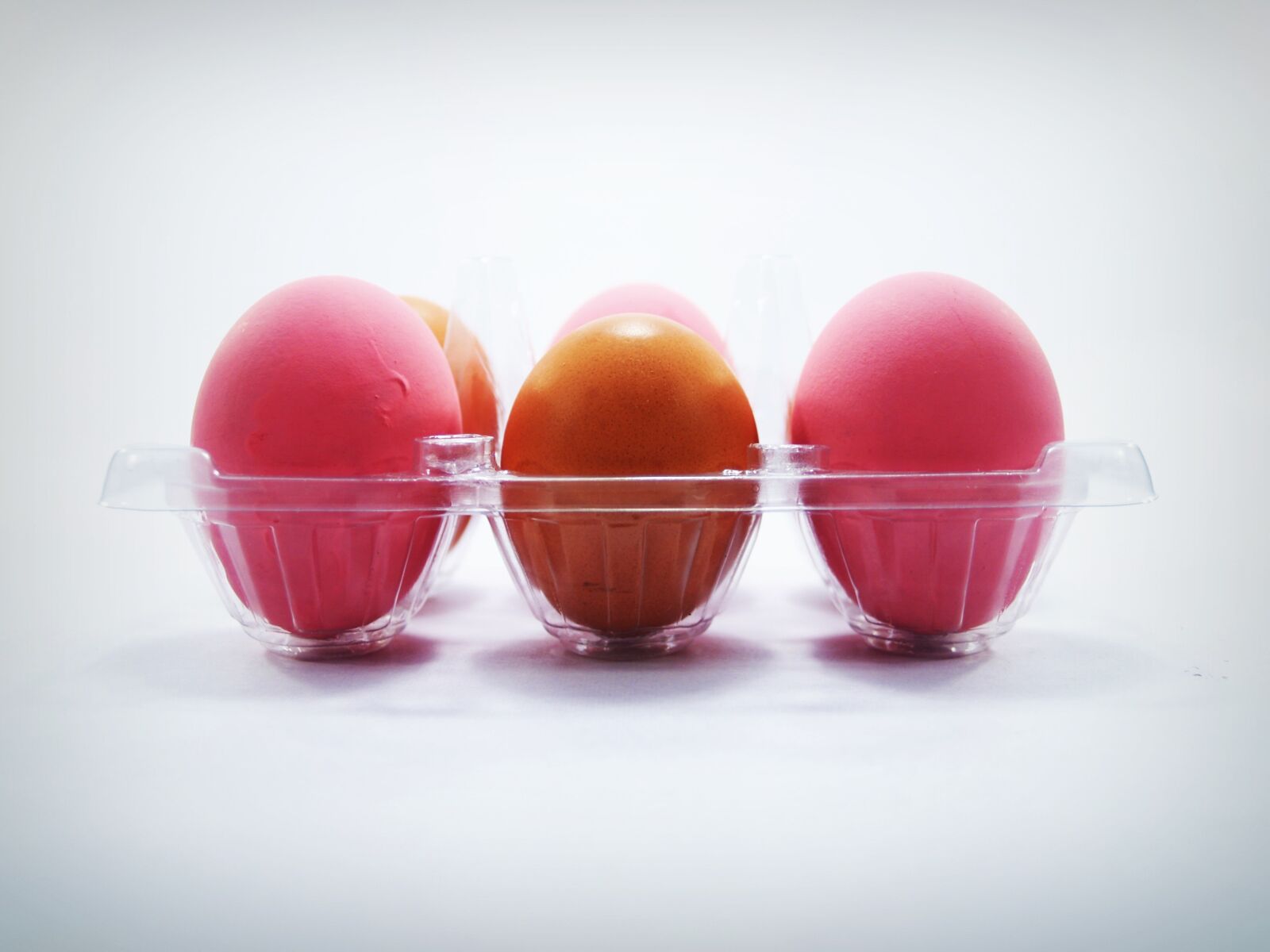 Olympus E-300 (EVOLT E-300) sample photo. Egg, fresh, cholesterol photography