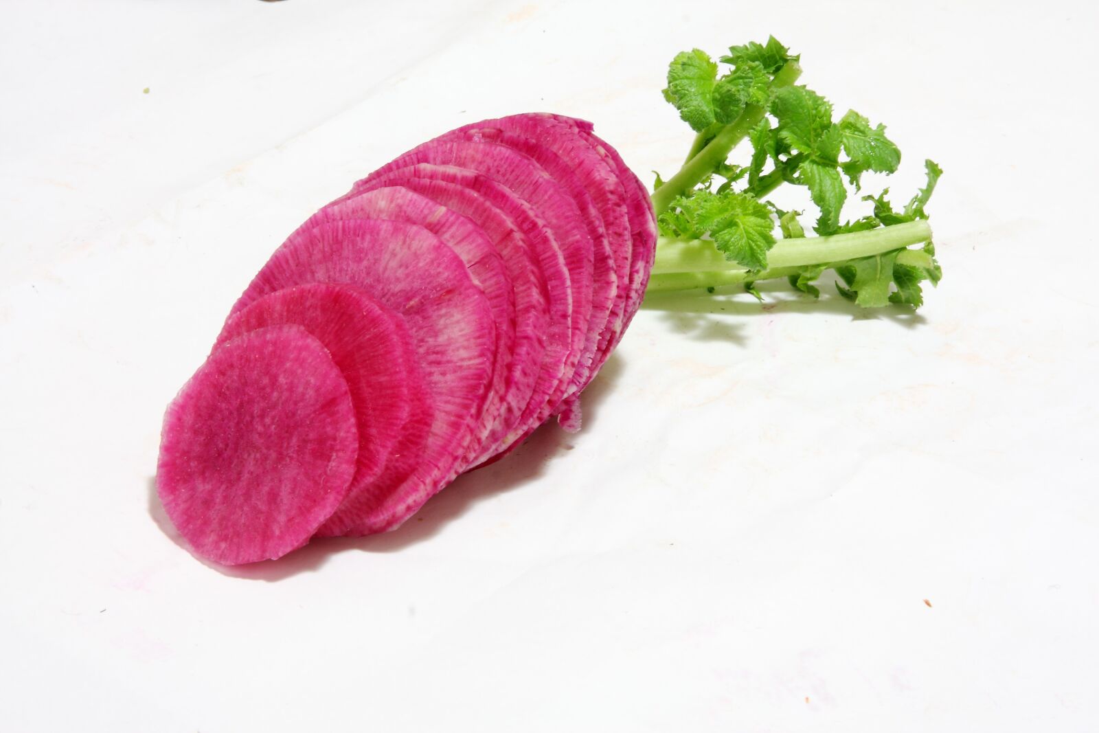 Canon EOS 40D sample photo. Vegetable, radish, food photography