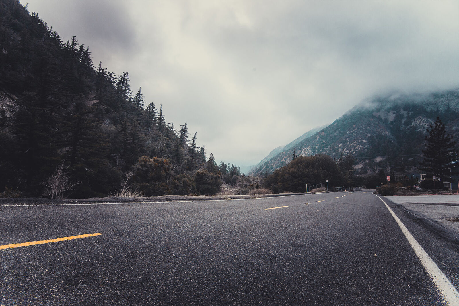 Nikon D610 sample photo. Asphalt, clouds, cloudy, conifers photography