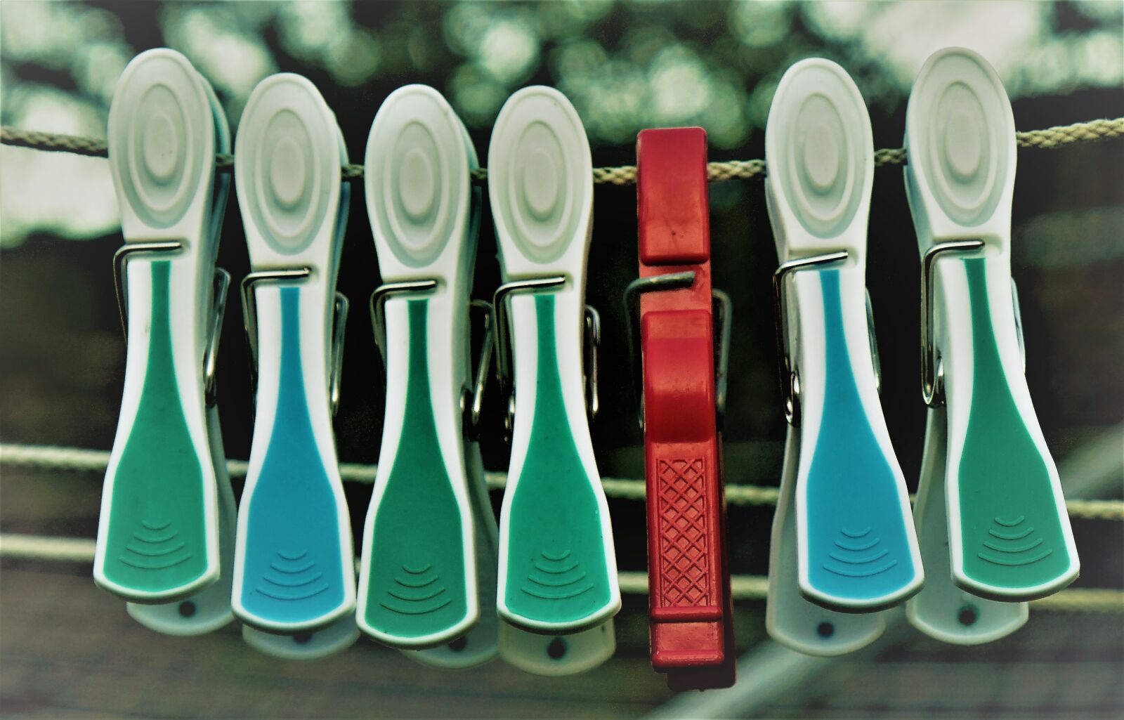 Panasonic DMC-TZ101 sample photo. Clamp, clothespins, budget photography