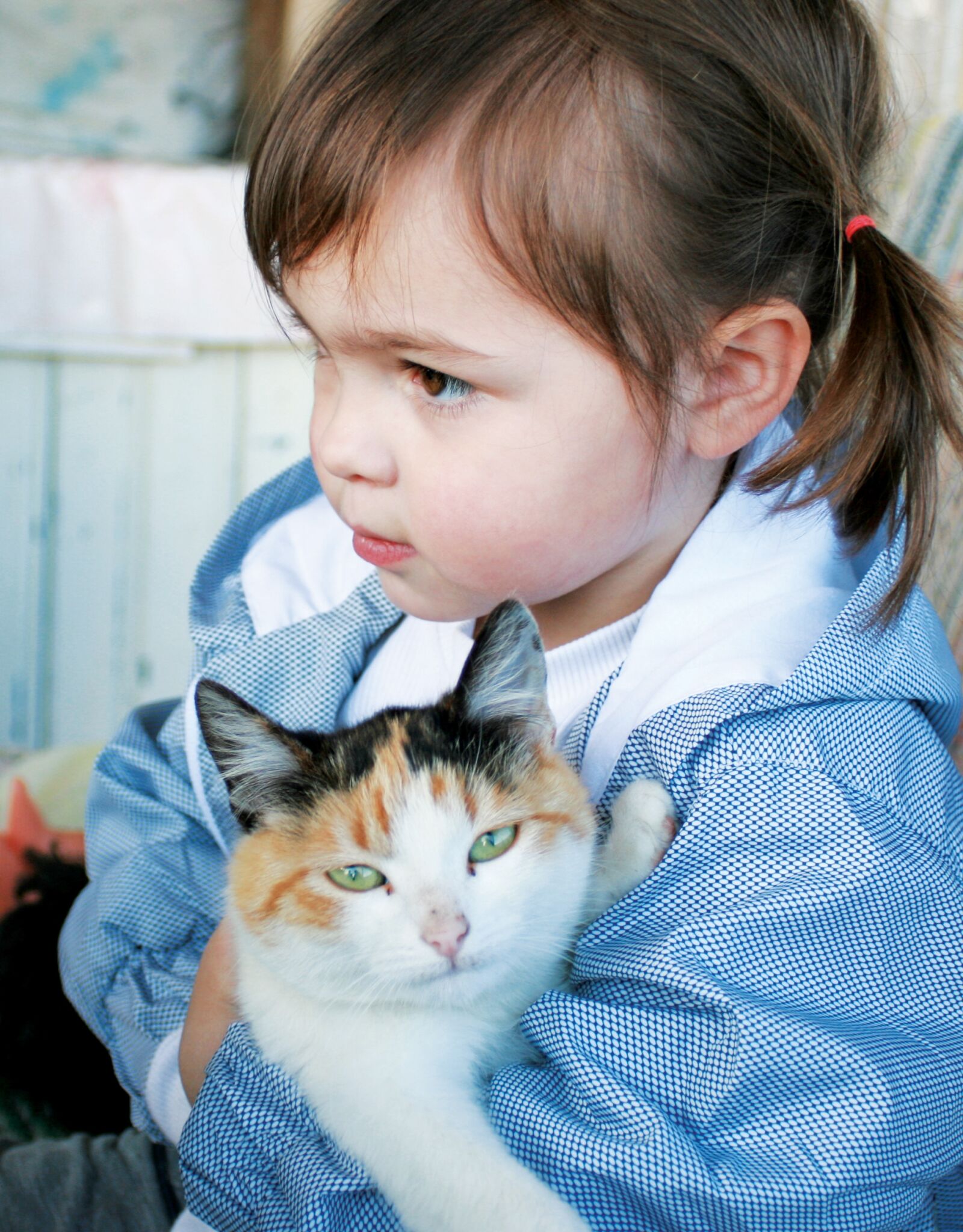 Canon EOS 400D (EOS Digital Rebel XTi / EOS Kiss Digital X) sample photo. Girl, cat, child photography