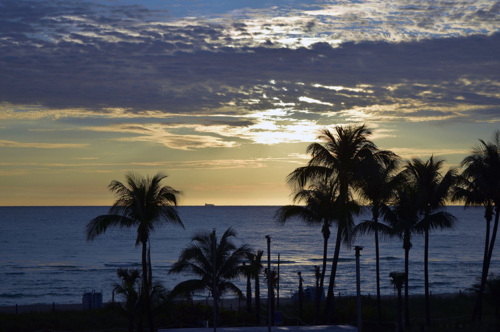 Nikon D3300 sample photo. Palm tree, ocean, sunset photography