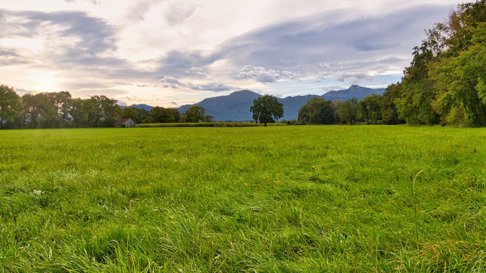 Nikon D7500 sample photo. Nature, field, pasture photography