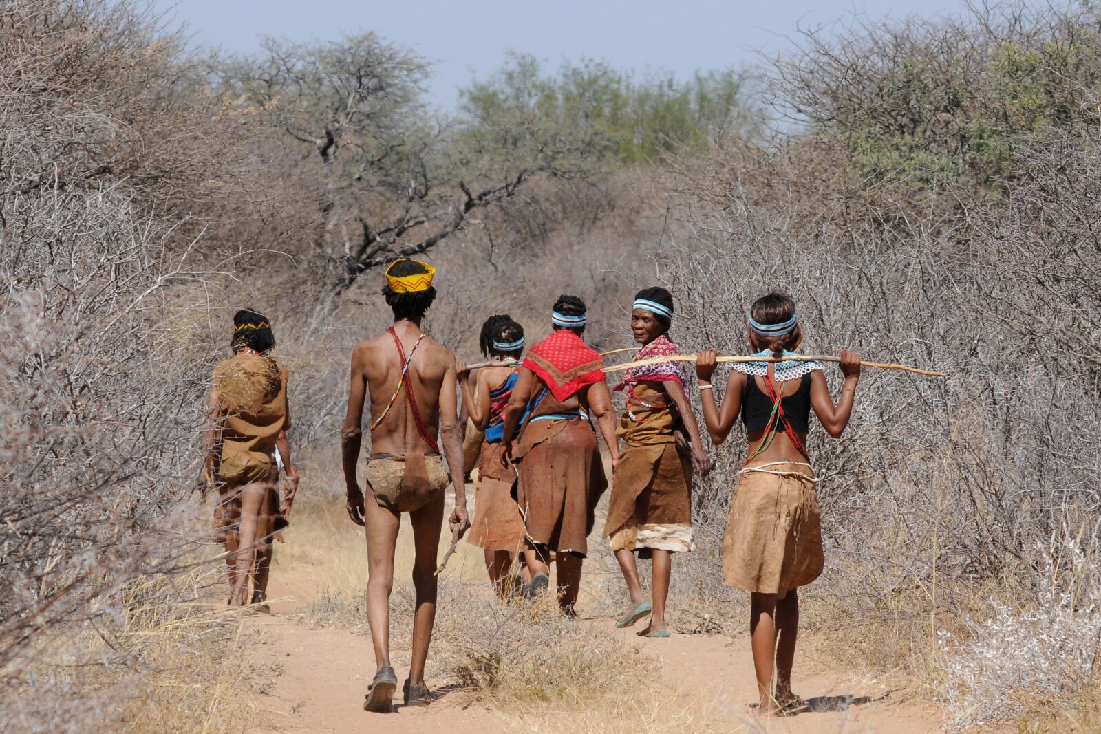 Nikon D300 sample photo. Botswana, bushman, group photography