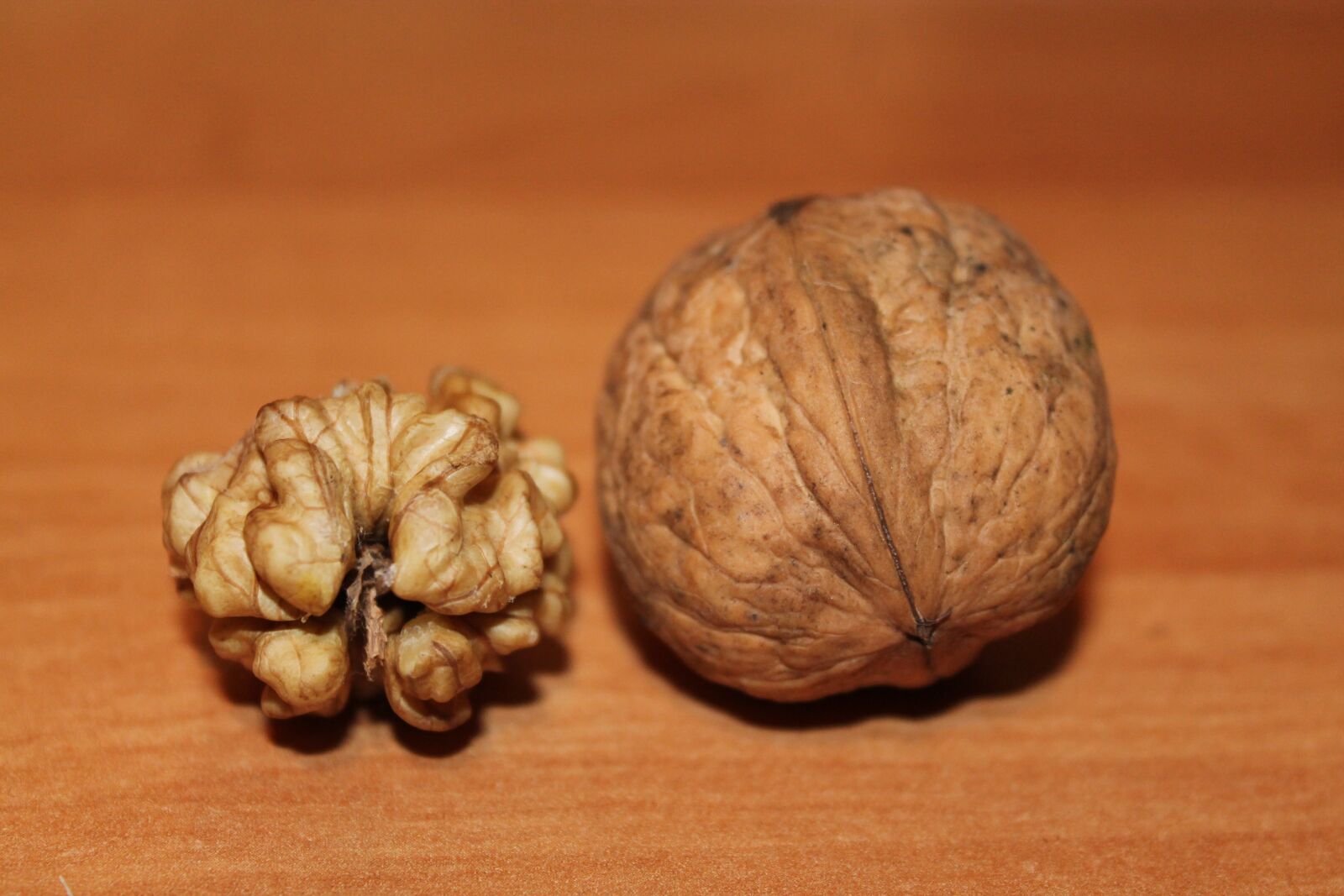 Canon EOS 1100D (EOS Rebel T3 / EOS Kiss X50) sample photo. Walnut, nuts, walnuts photography