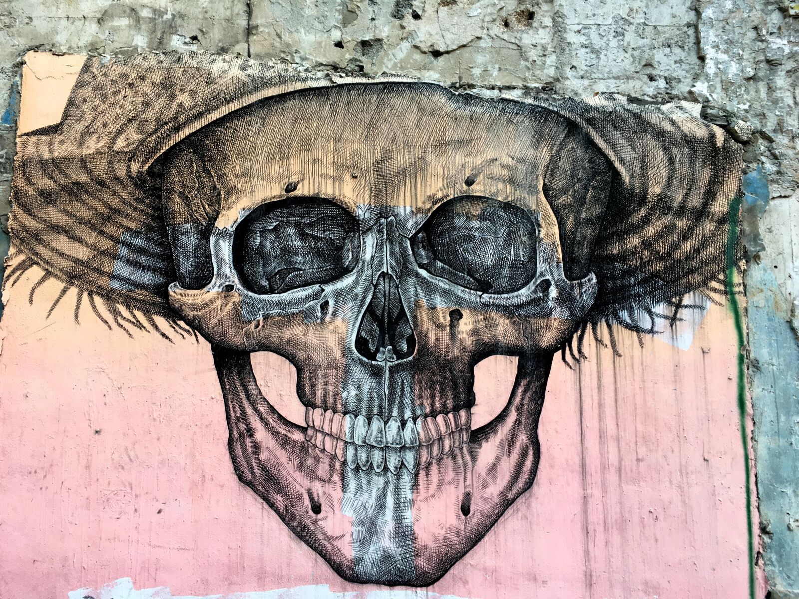 Apple iPhone 6s sample photo. Skull, mural, street art photography