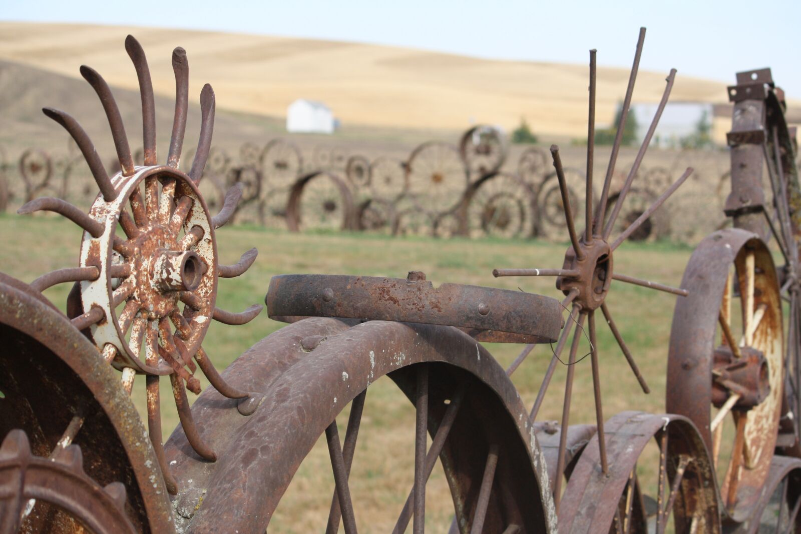 Canon EOS 1000D (EOS Digital Rebel XS / EOS Kiss F) sample photo. Farm, art, hills photography
