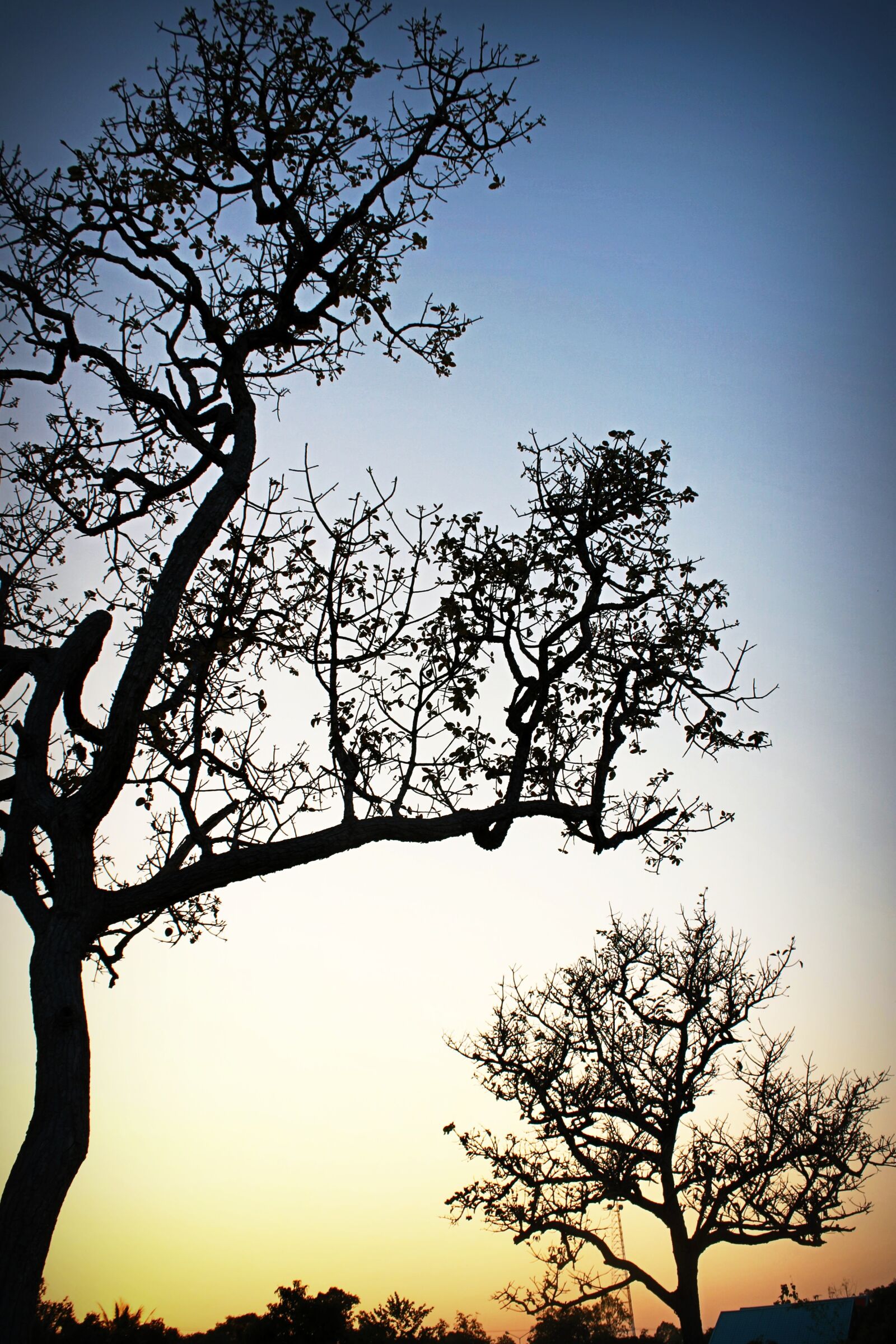 Canon EOS 650D (EOS Rebel T4i / EOS Kiss X6i) sample photo. Afterglow, backlit, clear, sky photography