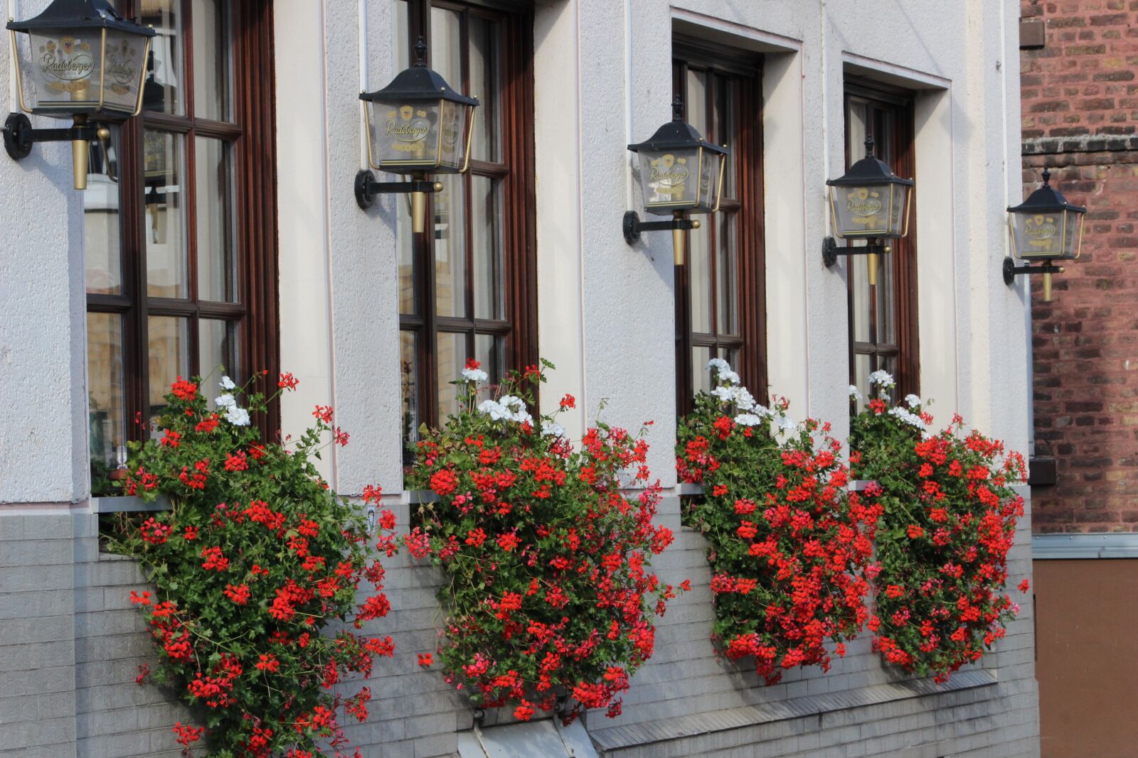 Canon EOS 600D (Rebel EOS T3i / EOS Kiss X5) sample photo. House, architecture, window photography