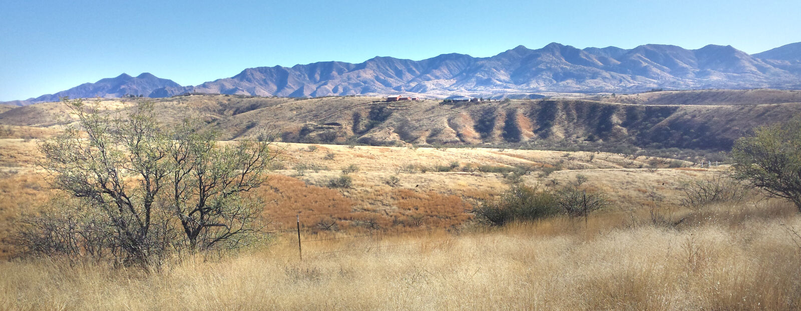 Samsung Galaxy S4 sample photo