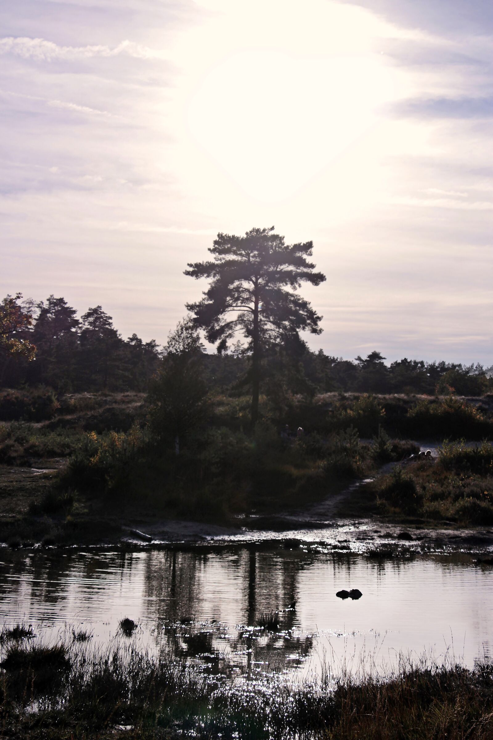 Canon EOS 100D (EOS Rebel SL1 / EOS Kiss X7) sample photo. Sunset, trees, lake photography