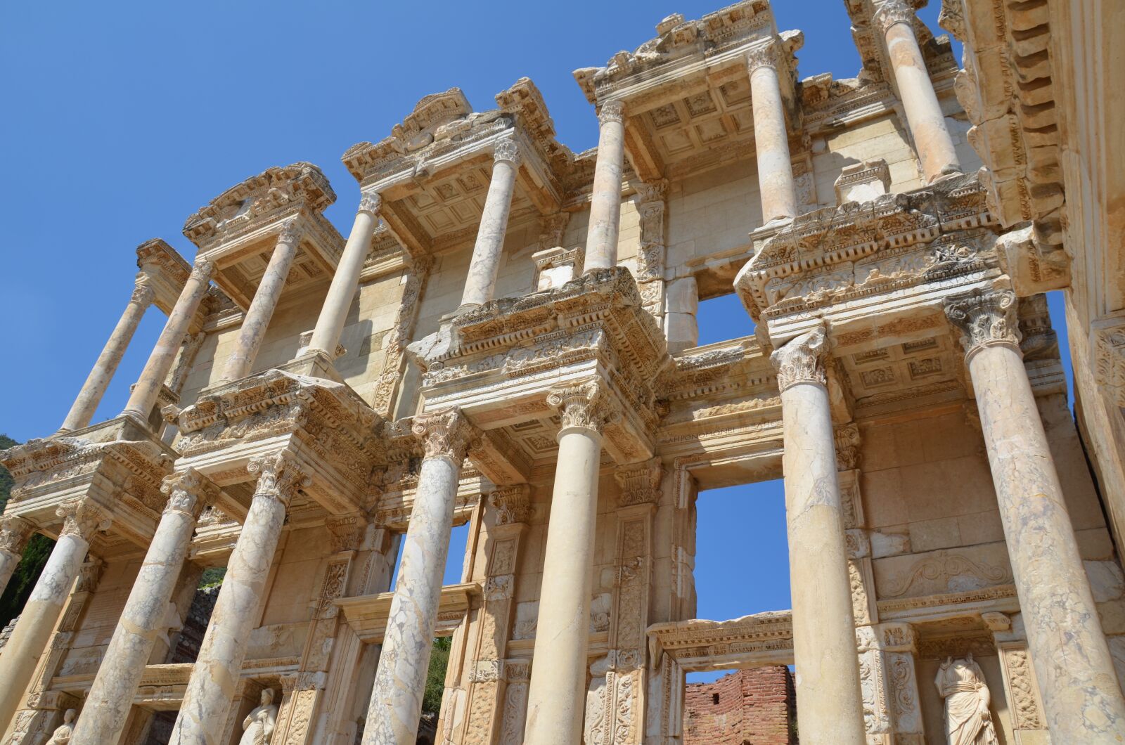 Nikon D5100 sample photo. Travel, turkey, rose photography