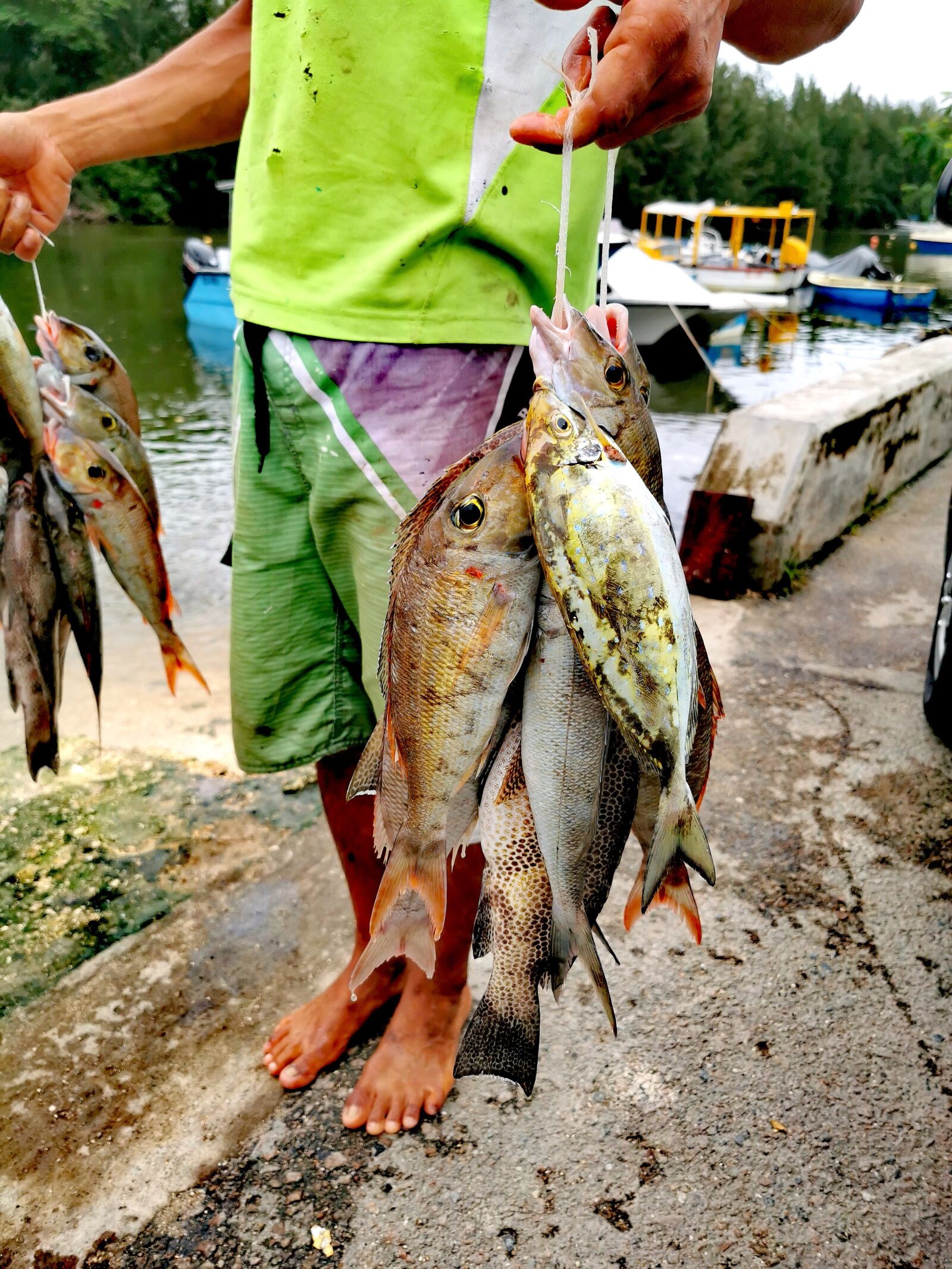 HUAWEI P30 Pro sample photo. Fish, fisherman, boat photography