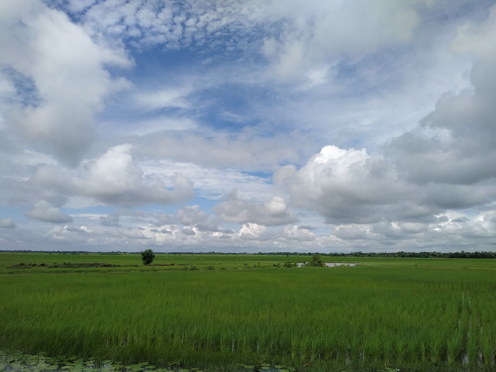 Xiaomi Redmi Note 6 Pro sample photo. Cloud, clouds sk, natura photography