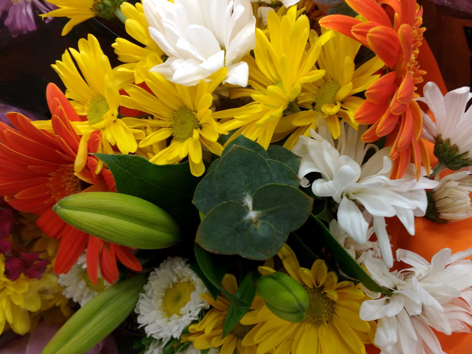 Motorola MotoG3 sample photo. Photo studio, arrangement, flowers photography
