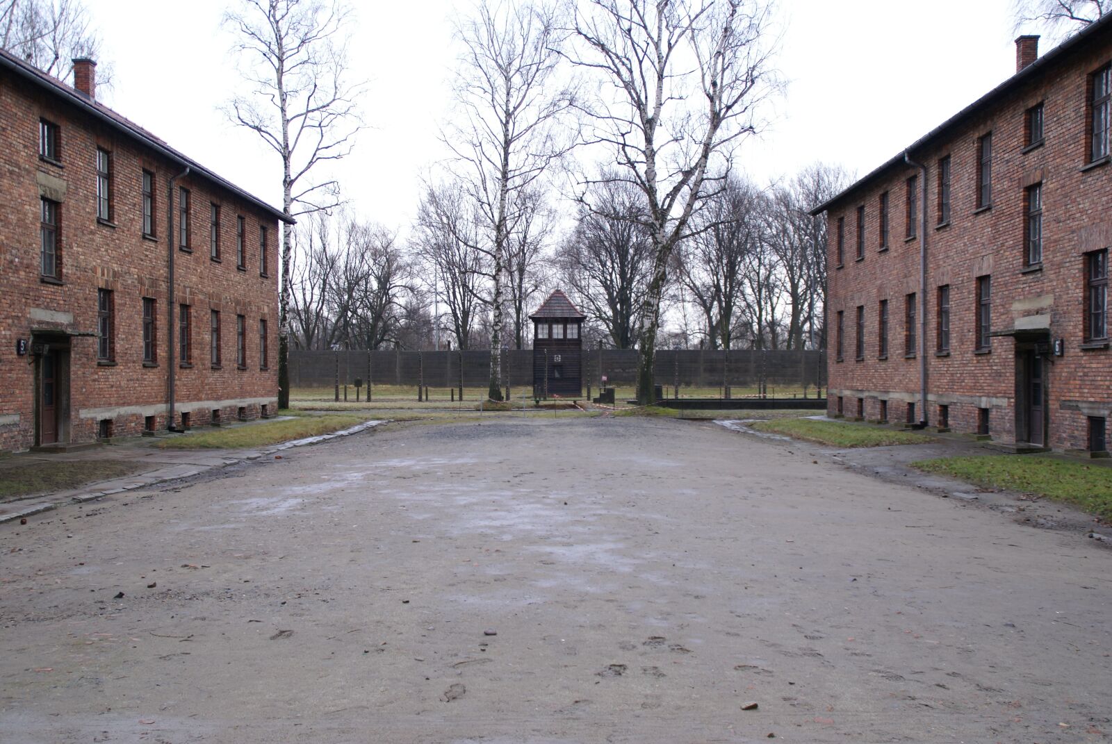 Sony Alpha DSLR-A100 sample photo. Auschwitz, concentration camp, second photography