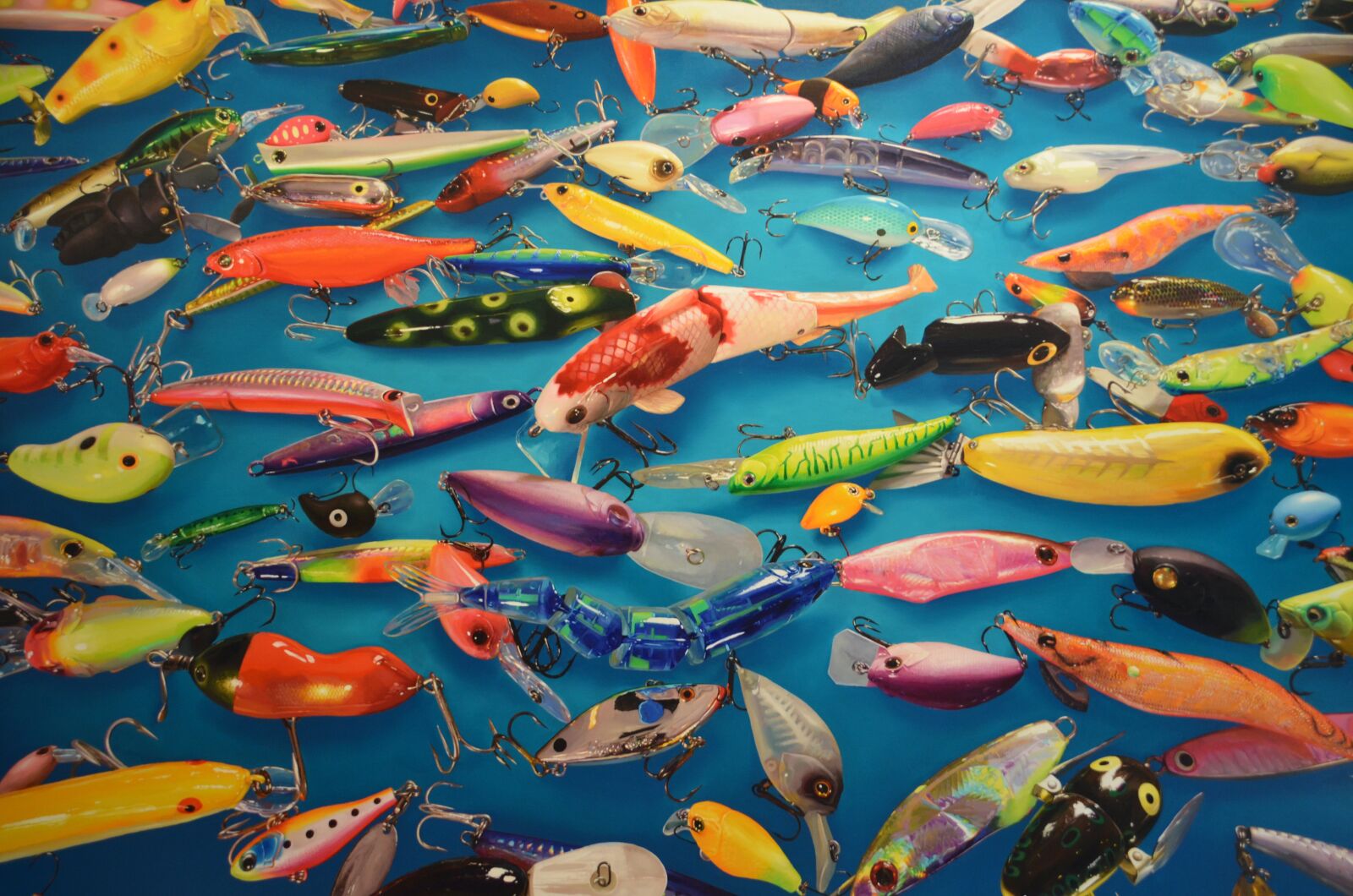 Nikon D7000 sample photo. Art, color, fish photography