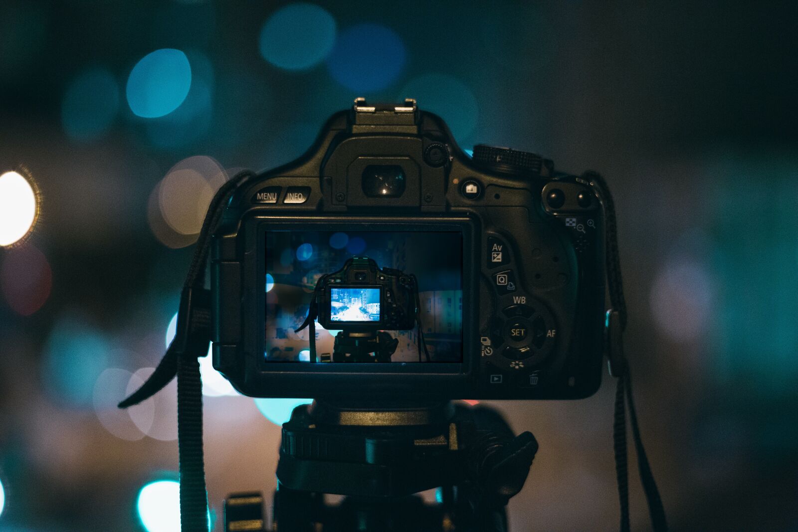 Canon EF 50mm F1.8 II sample photo. Bokeh, camera, canon photography