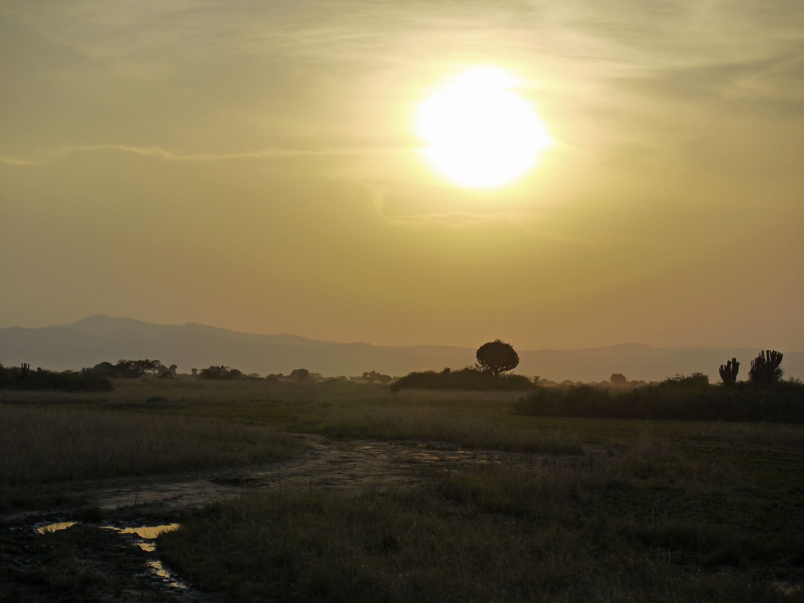 Panasonic Lumix DMC-G1 sample photo. Dusk, savannah, uganda photography