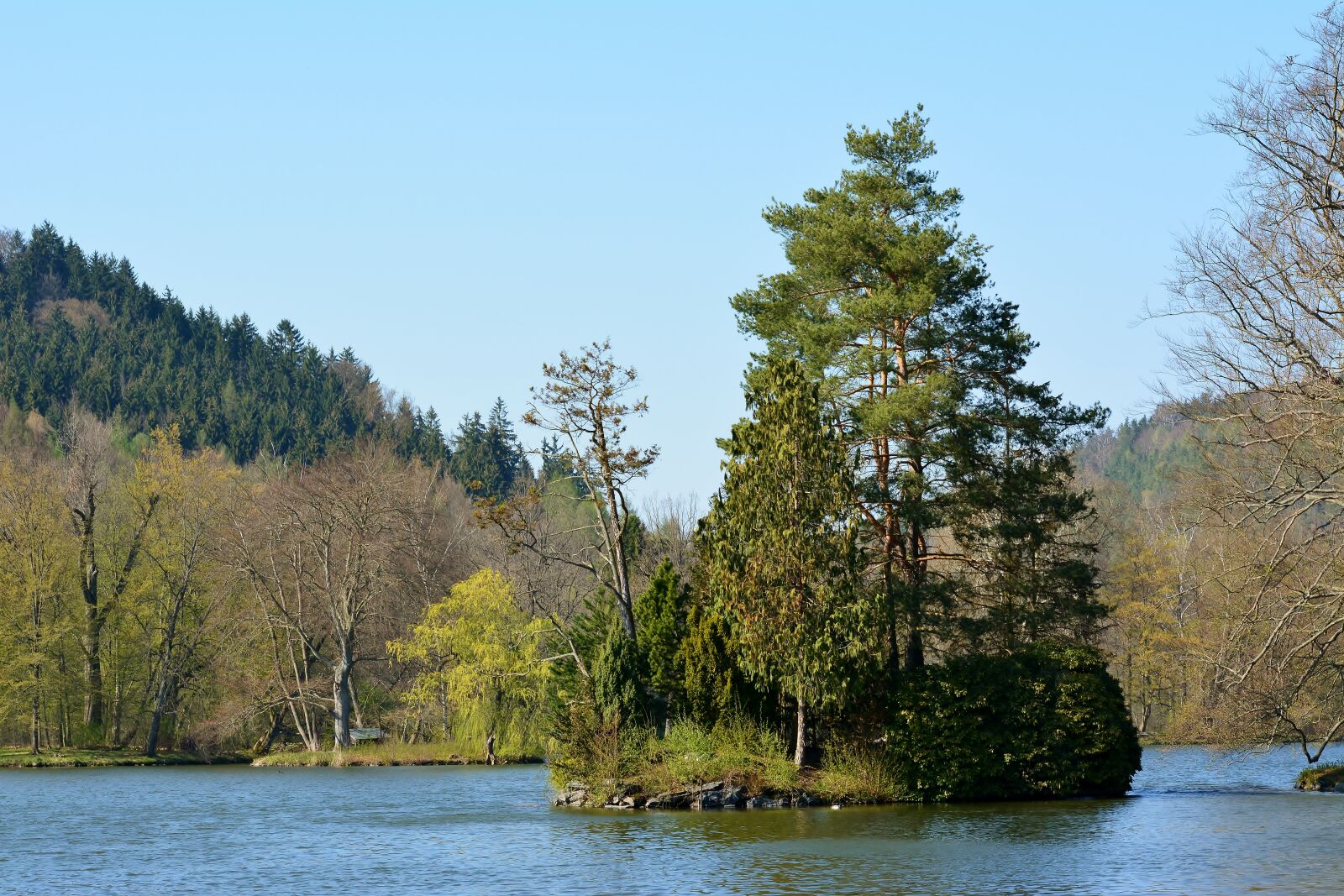 Nikon D5200 sample photo. Park lake, island, landscape photography