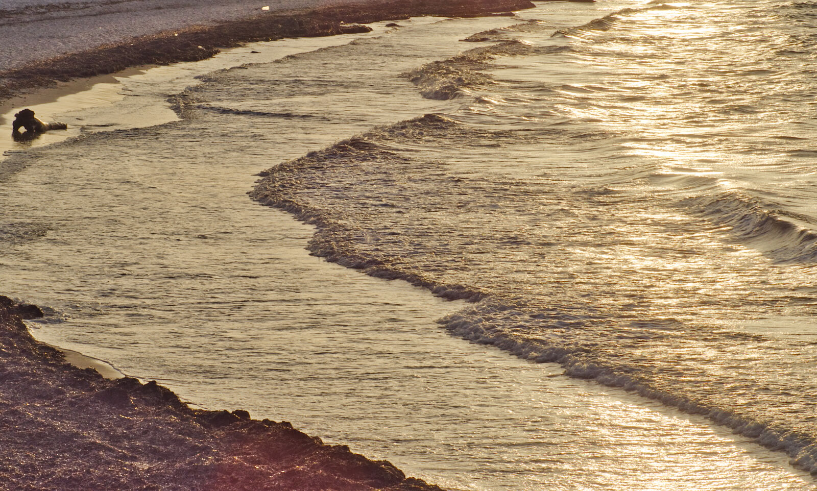 Nikon D5500 sample photo. Beach photography