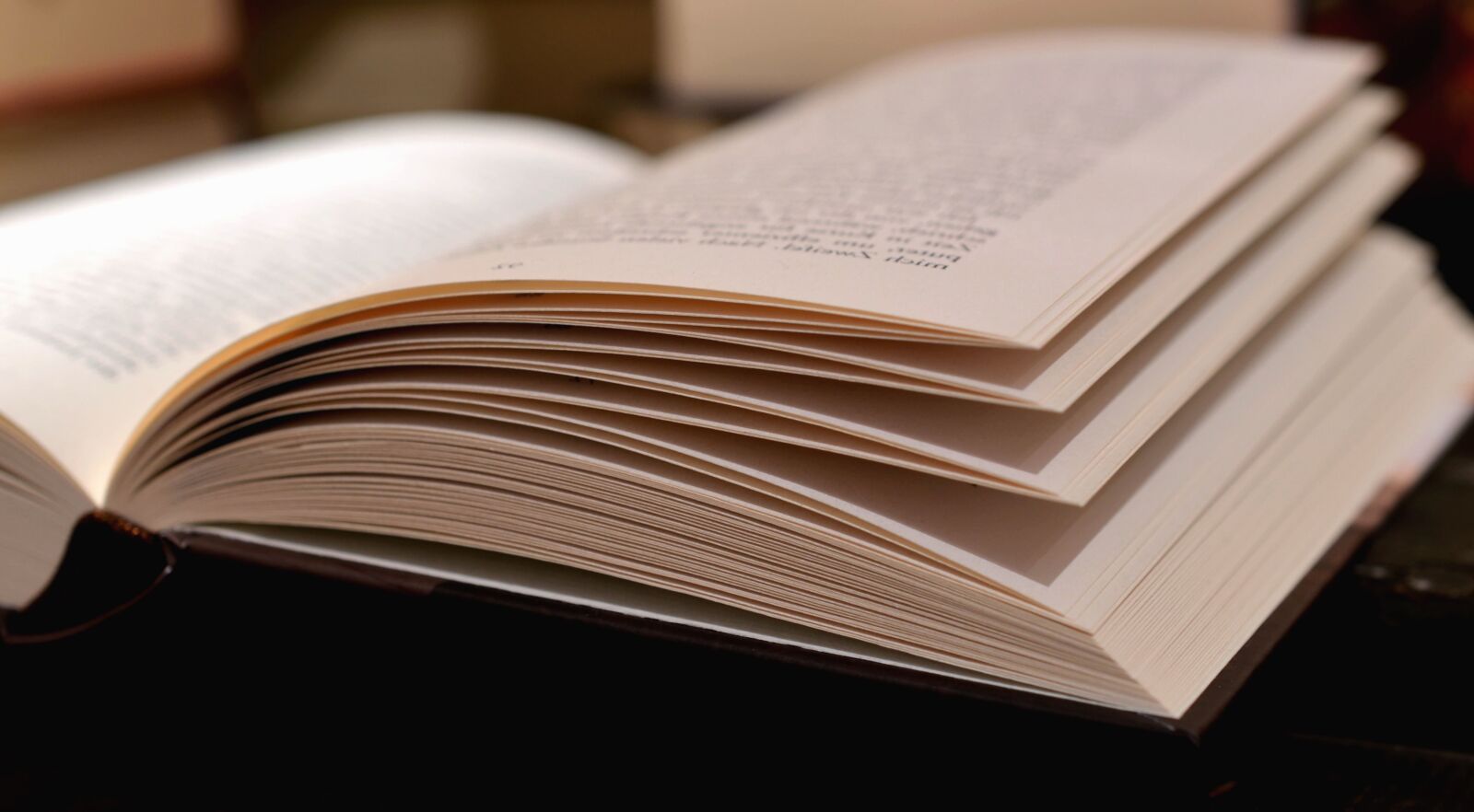Nikon D5100 sample photo. Book, page, paper, learning photography