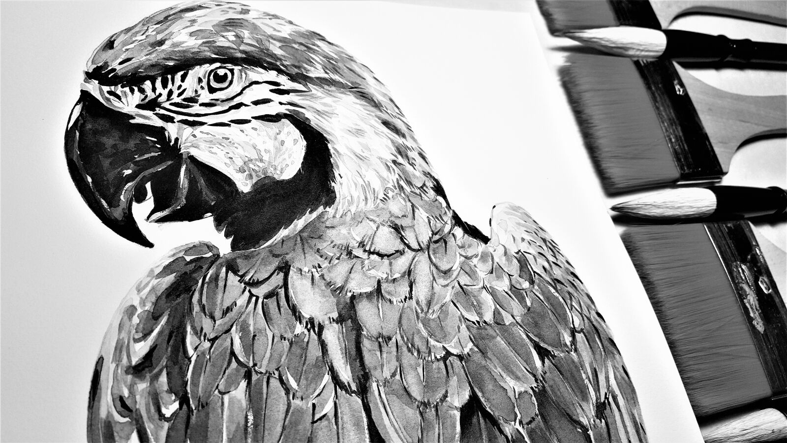 Samsung Galaxy S6 sample photo. Parrot, macaws, brush photography