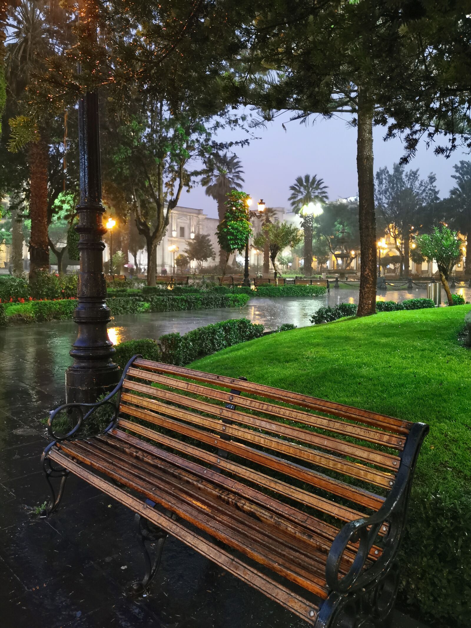 HUAWEI P30 Pro sample photo. Rain, banking, park photography