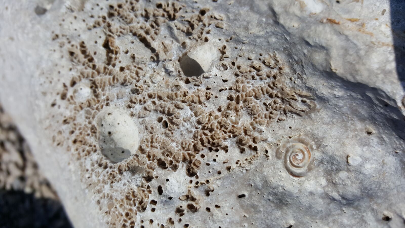 Samsung Galaxy S6 sample photo. Stone, limestone, white photography