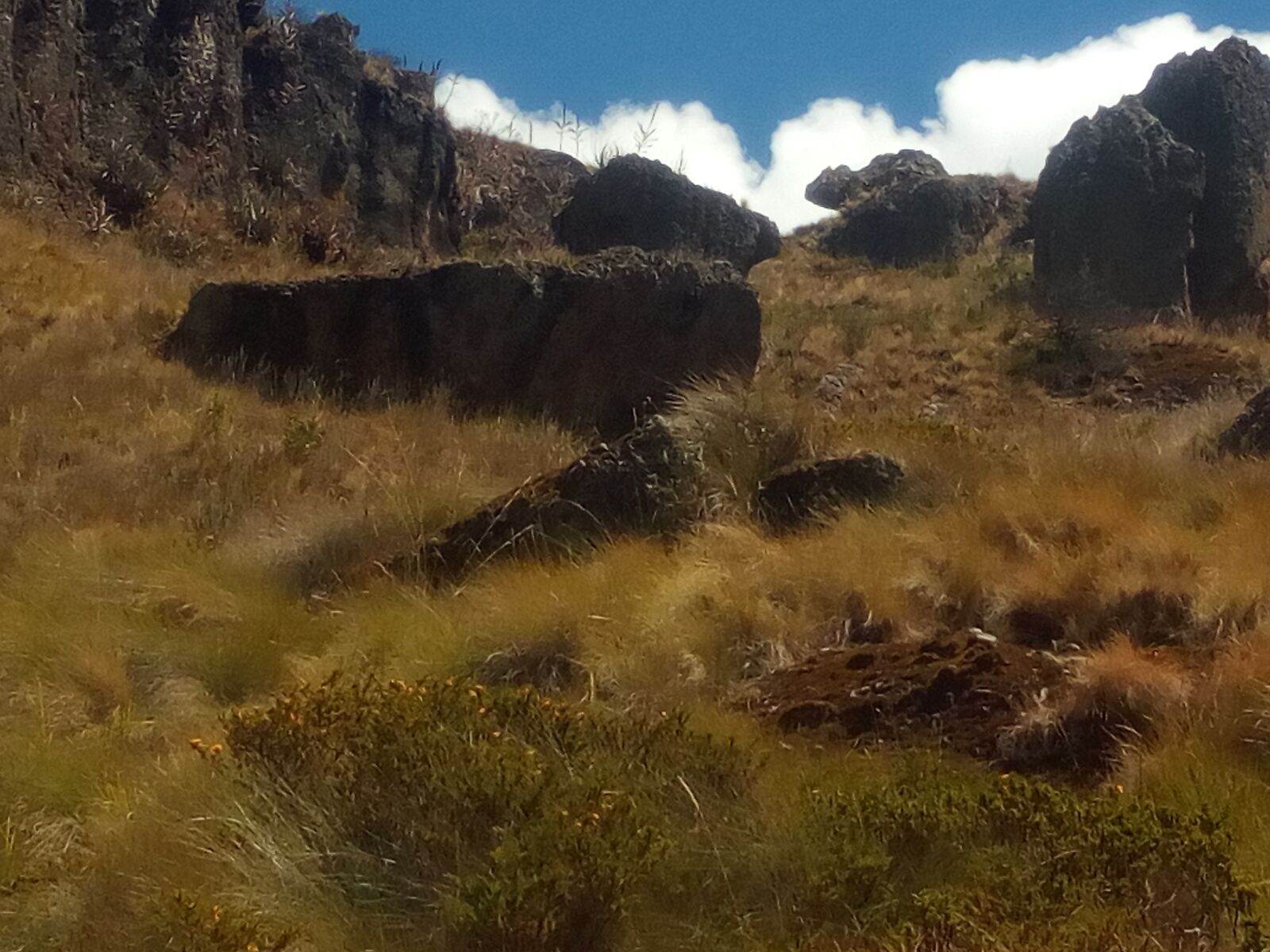 HUAWEI Y6 a! Compact sample photo. Cumbemayo, cajamarca, peru photography