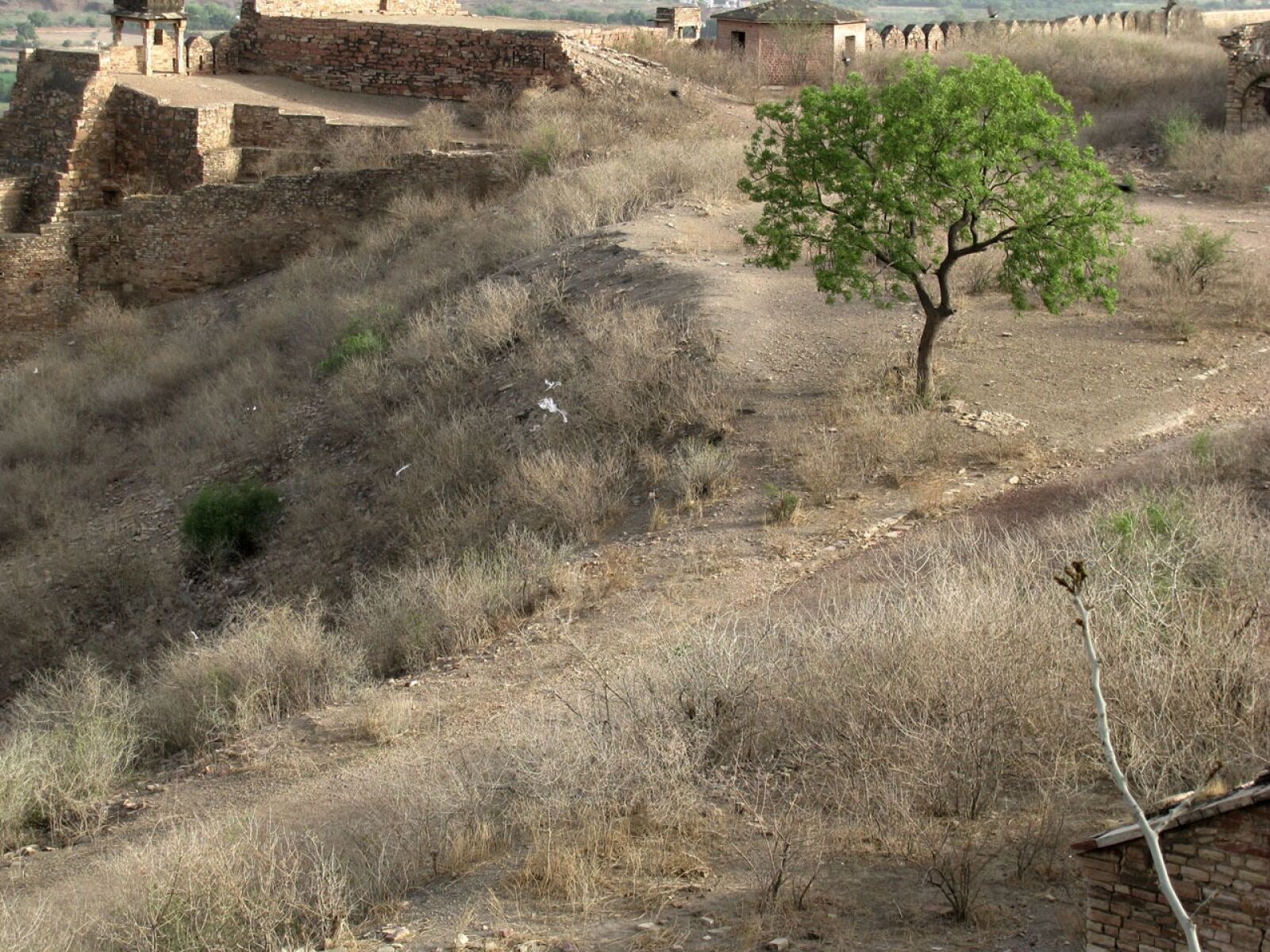 Canon POWERSHOT SX100 IS sample photo. Fort, ruins, tree photography