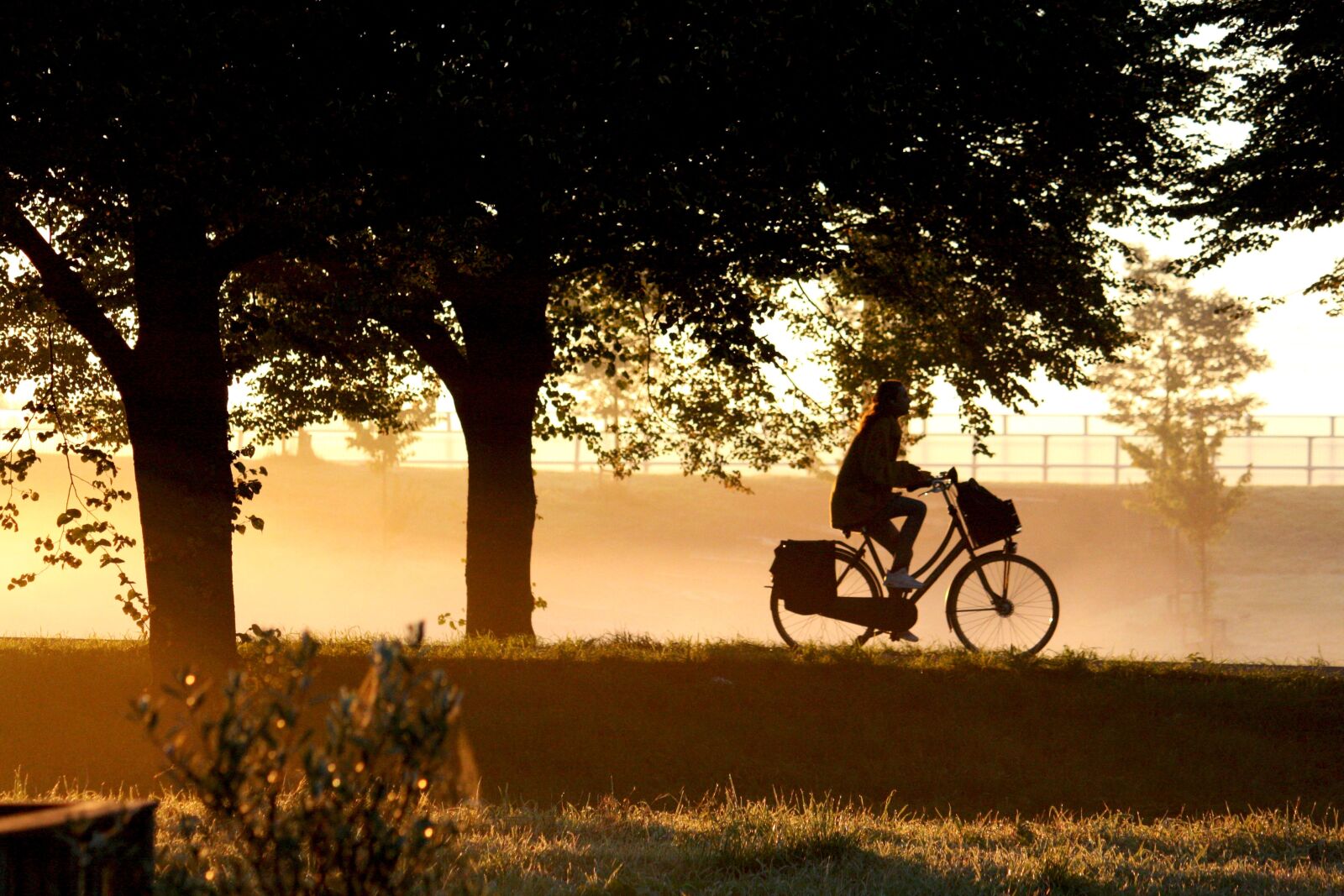 Canon EOS 1000D (EOS Digital Rebel XS / EOS Kiss F) sample photo. Morning, dawn, bike photography