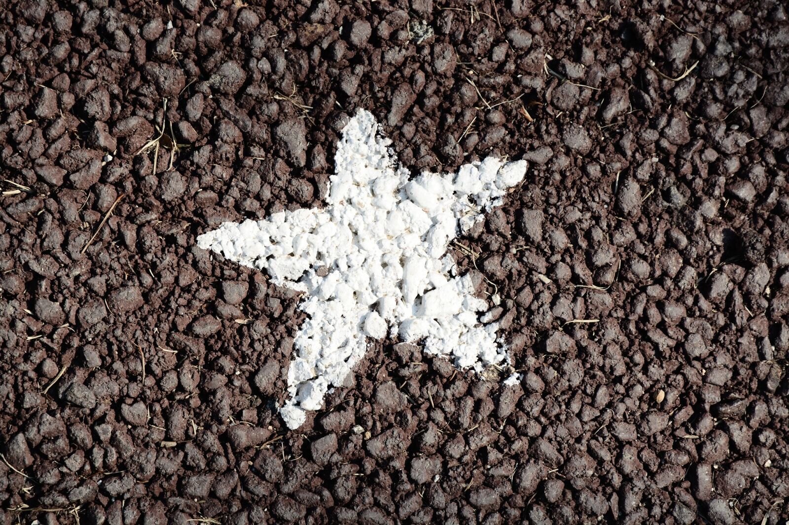 Nikon D7100 sample photo. Star, road, white photography