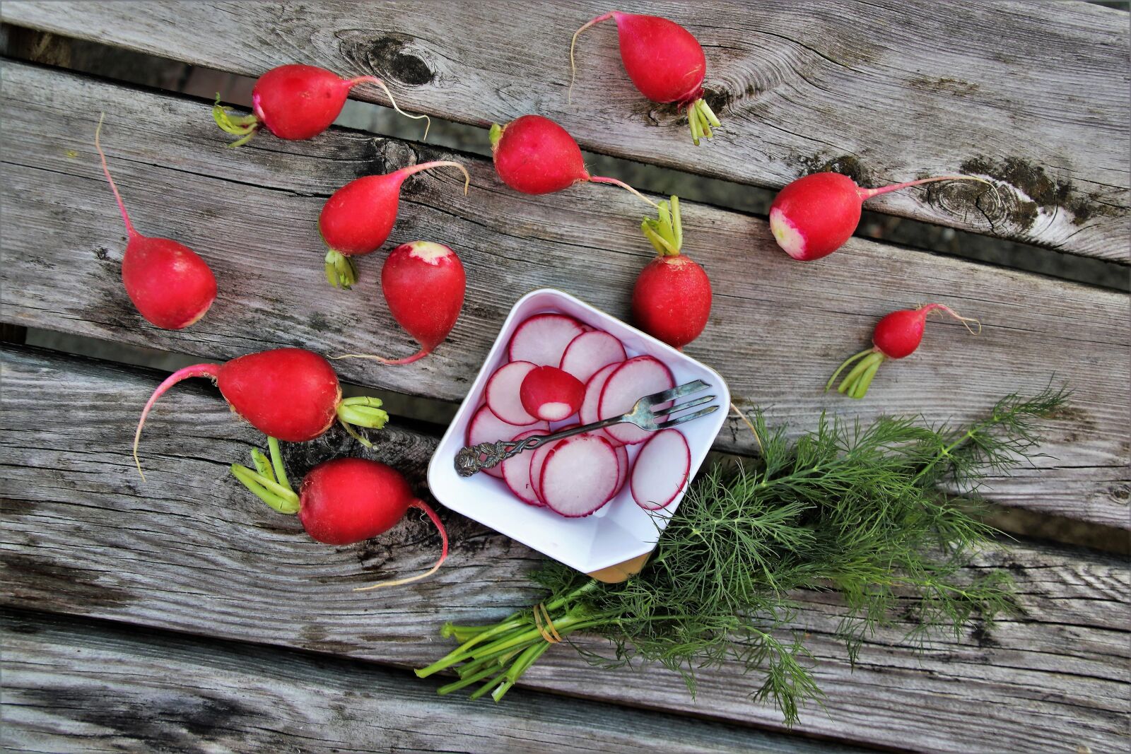 Canon EOS 80D sample photo. Radish, dill, bio photography