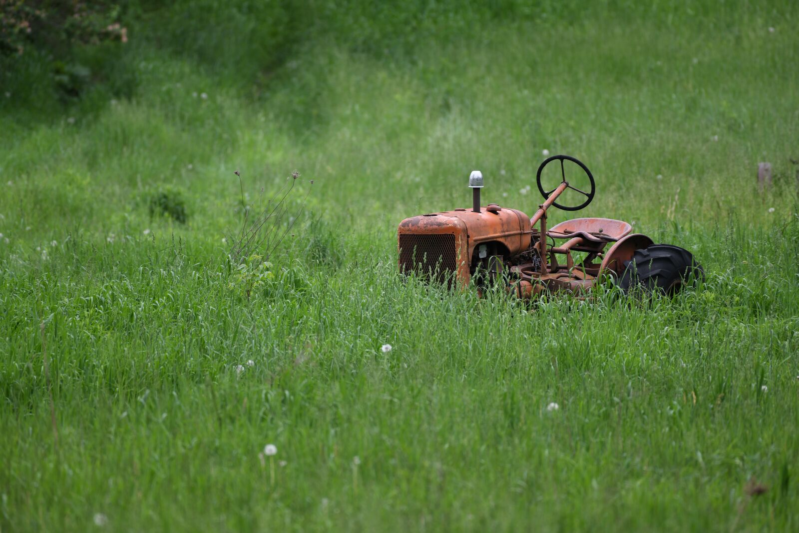 Nikon D850 sample photo. Tractor, antique, rust photography