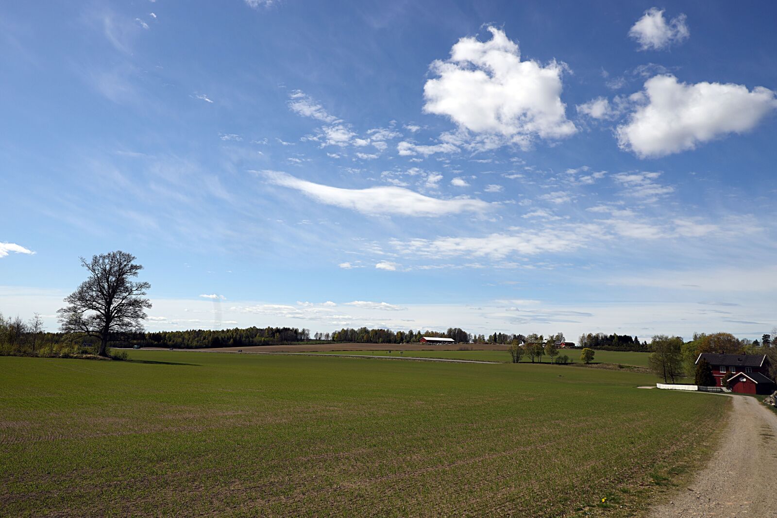 Canon EOS R sample photo. Landscape, field, sky photography