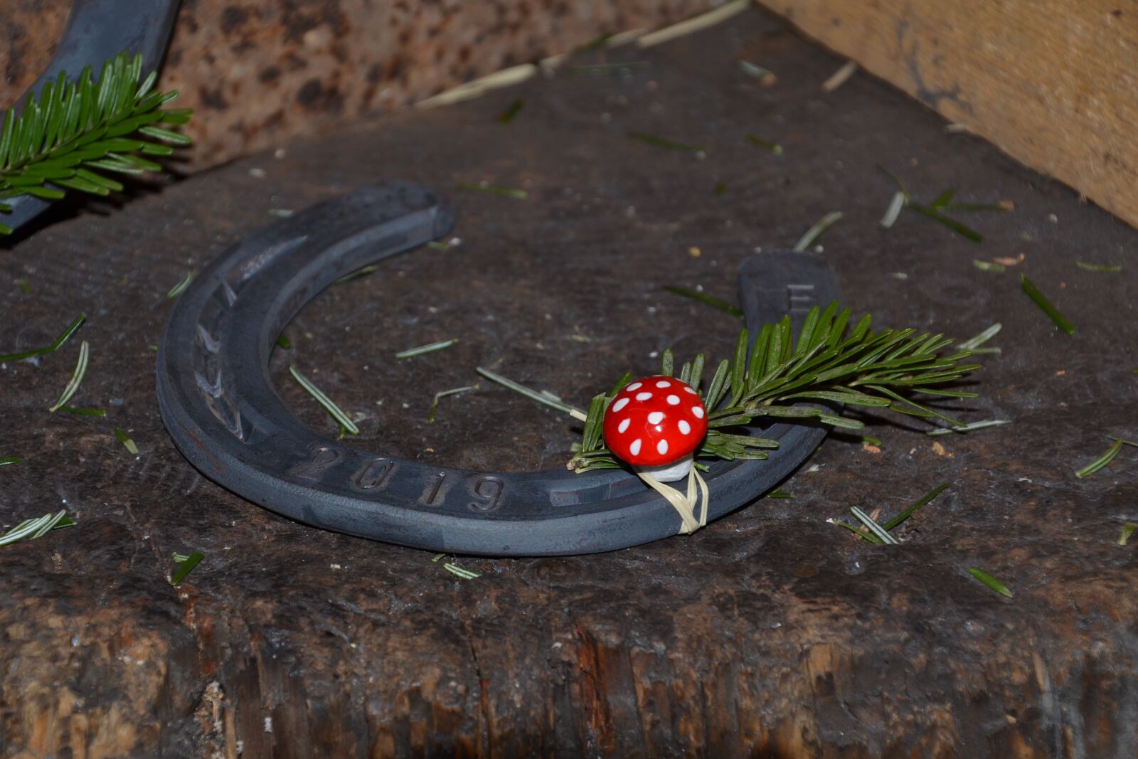 Nikon D3100 sample photo. Blacksmith, horseshoe, anvil photography