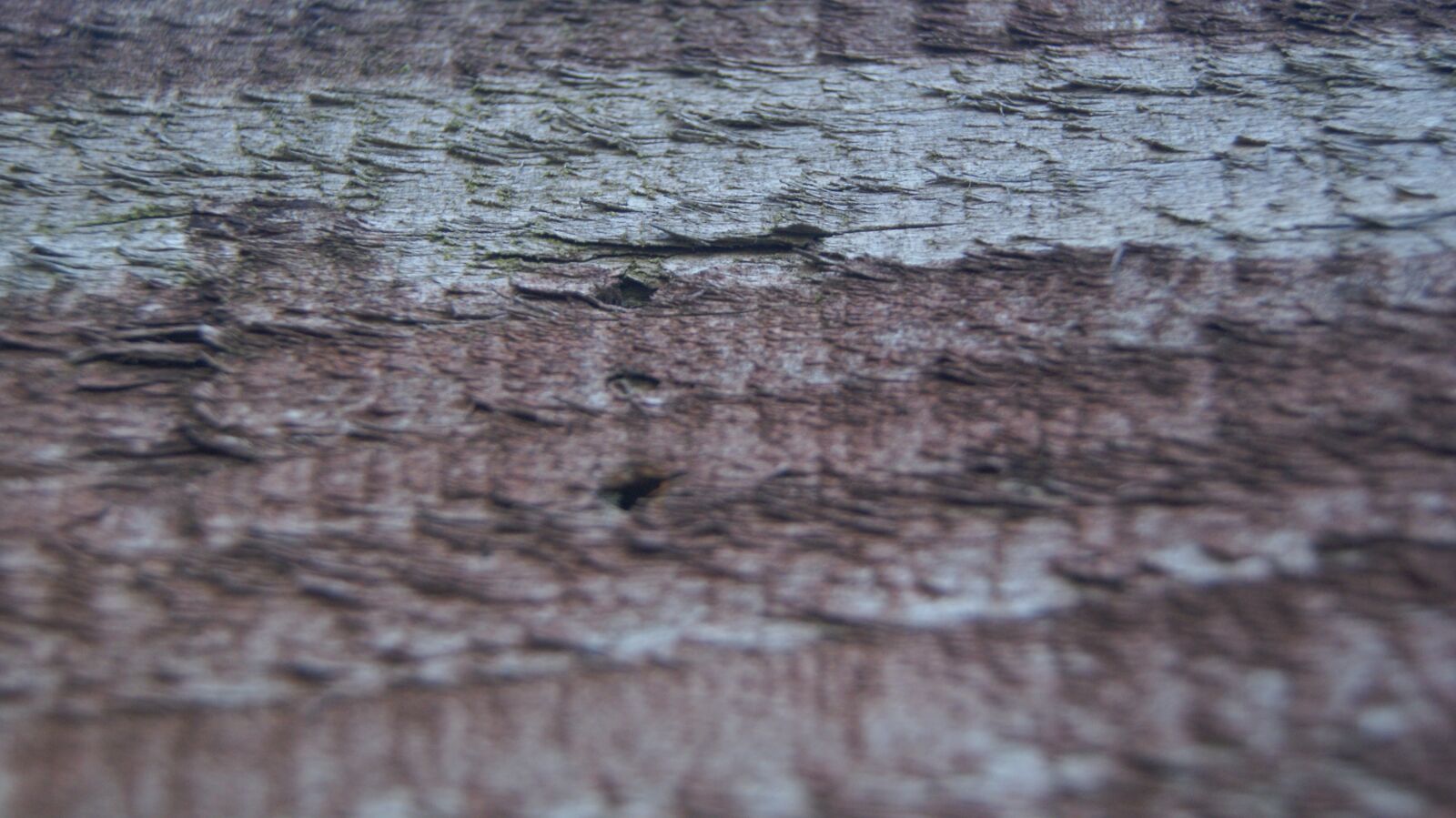 Sony Alpha DSLR-A230 sample photo. Wood, texture, wooden photography