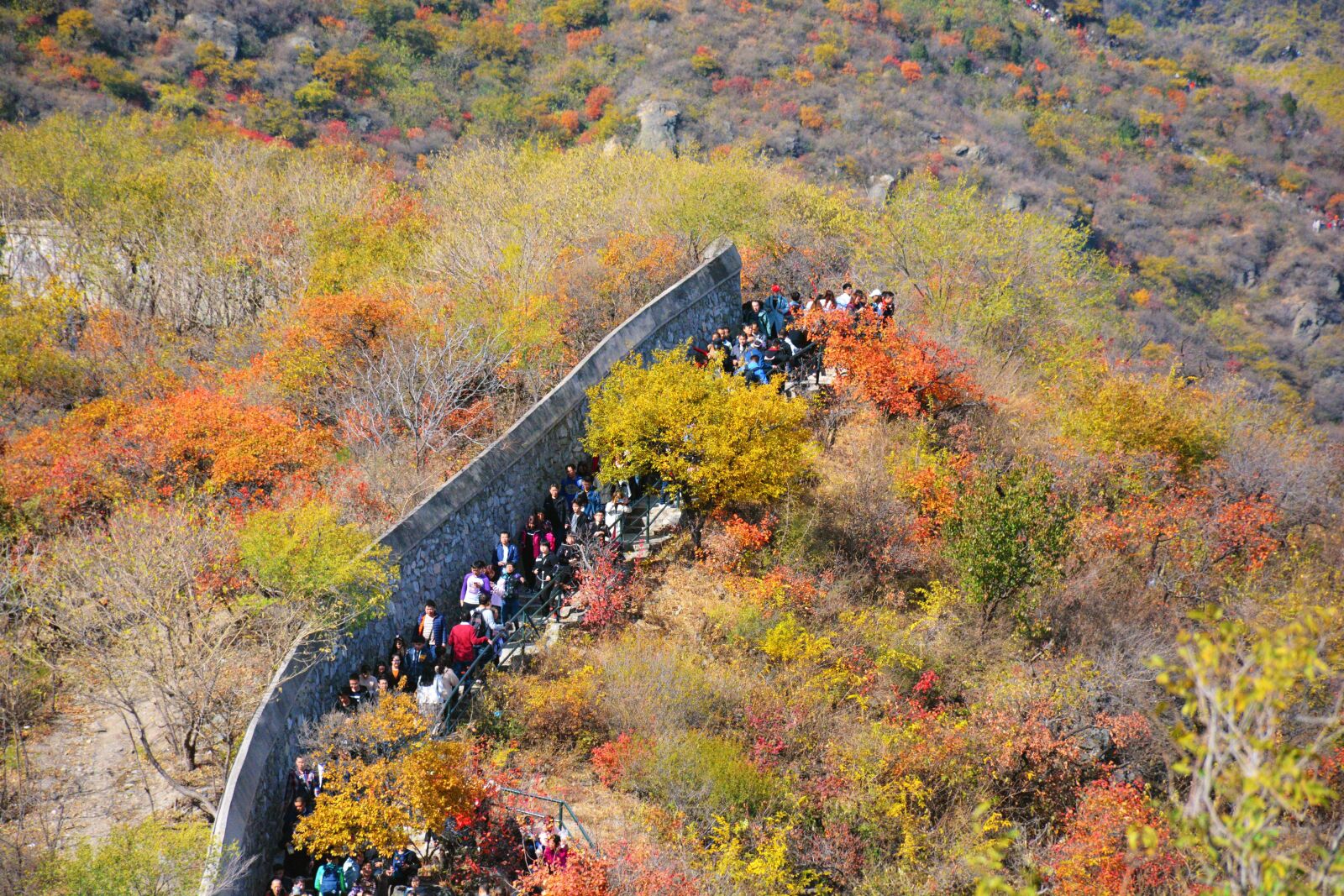 Nikon D7100 sample photo. Autumn, beijing, fragrant hill photography